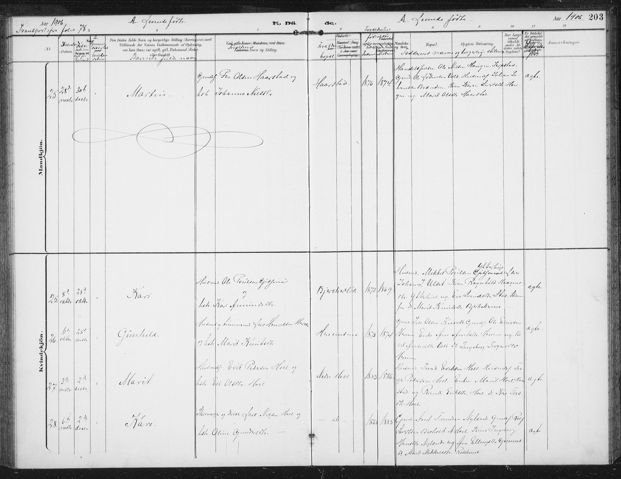 Ministerialprotokoller, klokkerbøker og fødselsregistre - Sør-Trøndelag, SAT/A-1456/674/L0872: Parish register (official) no. 674A04, 1897-1907, p. 203