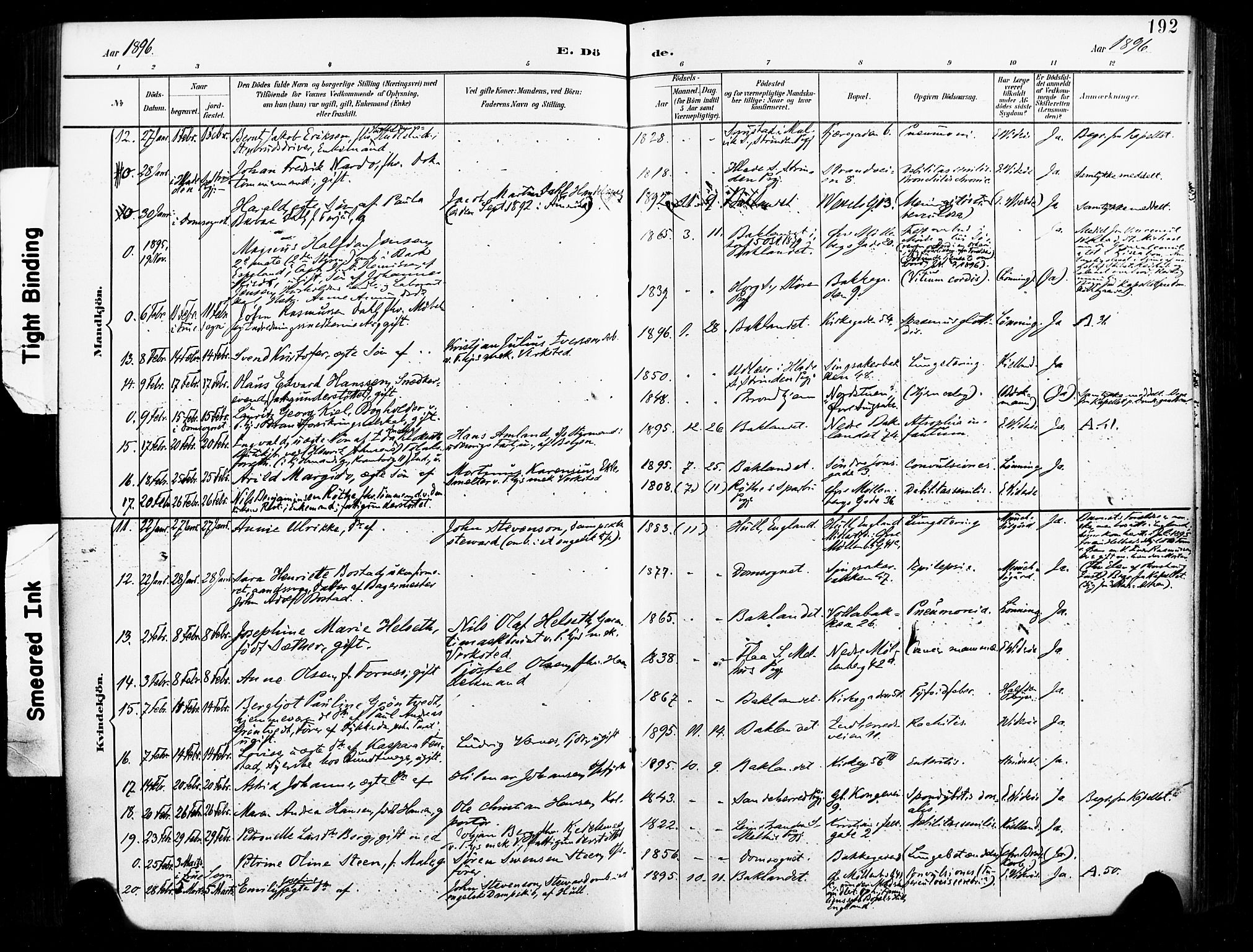 Ministerialprotokoller, klokkerbøker og fødselsregistre - Sør-Trøndelag, SAT/A-1456/604/L0198: Parish register (official) no. 604A19, 1893-1900, p. 192