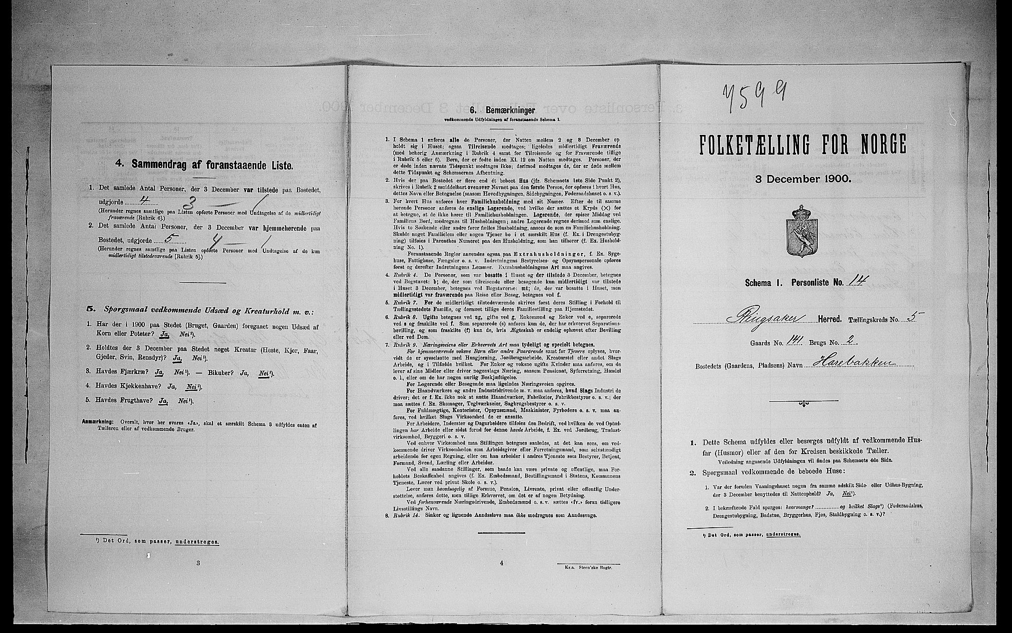 SAH, 1900 census for Ringsaker, 1900, p. 1075