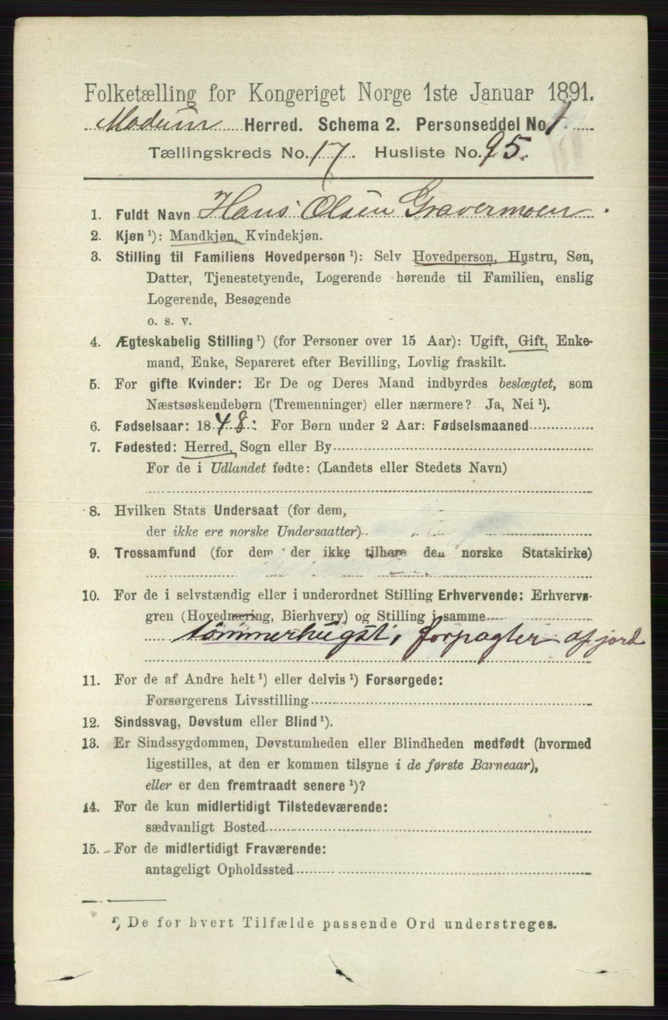 RA, 1891 census for 0623 Modum, 1891, p. 7133