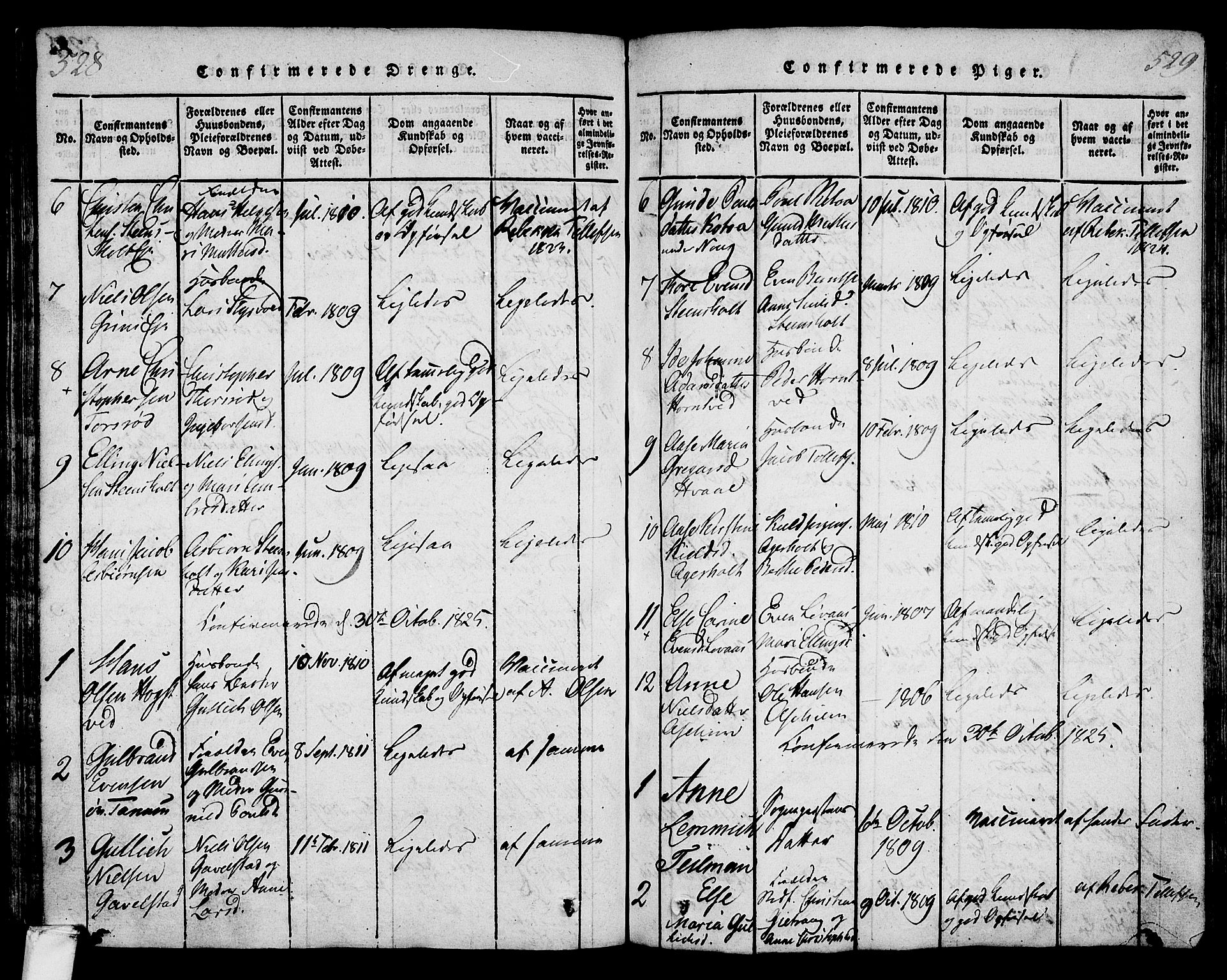 Lardal kirkebøker, AV/SAKO-A-350/F/Fa/L0005: Parish register (official) no. I 5, 1814-1835, p. 528-529