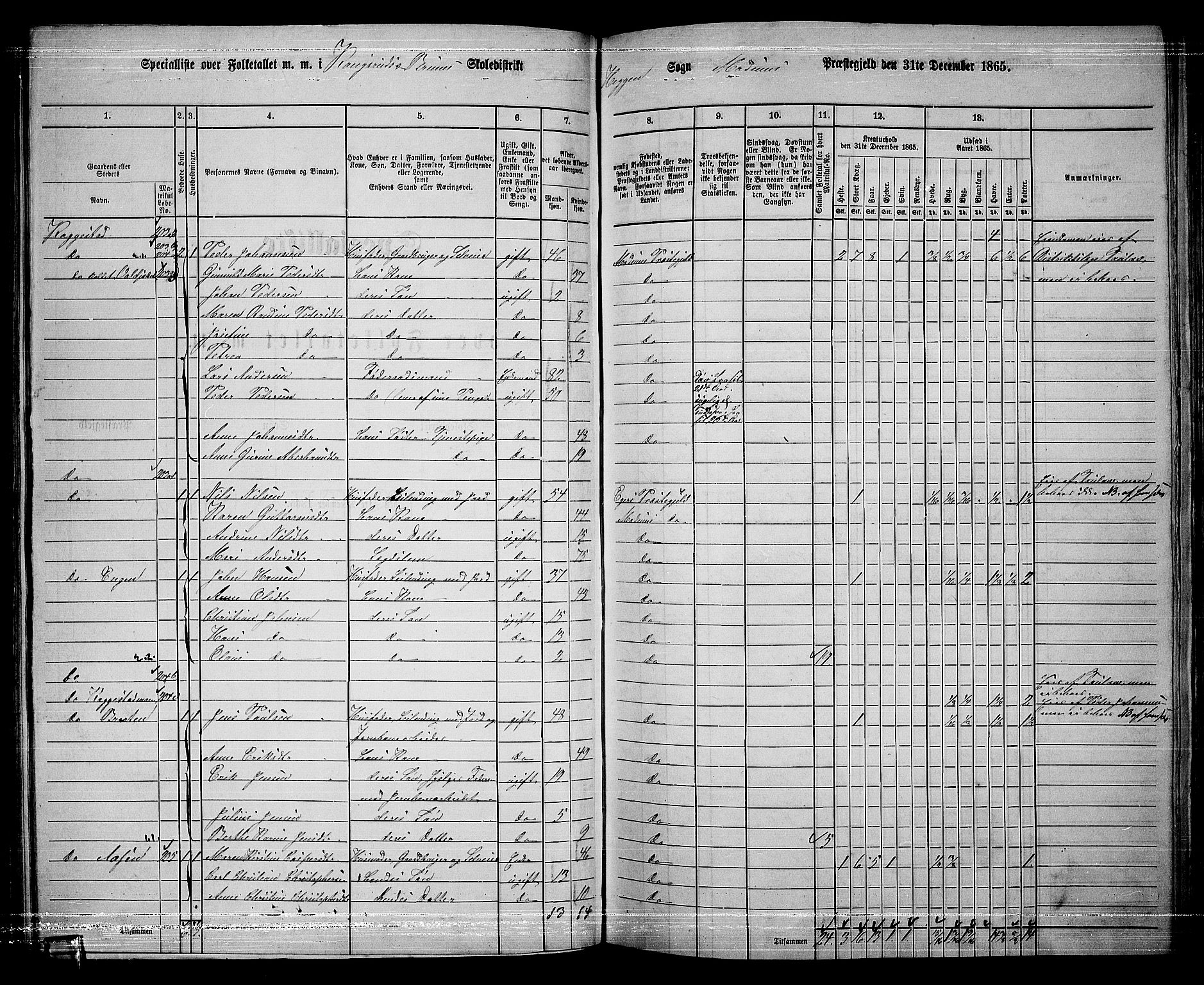 RA, 1865 census for Modum, 1865, p. 133