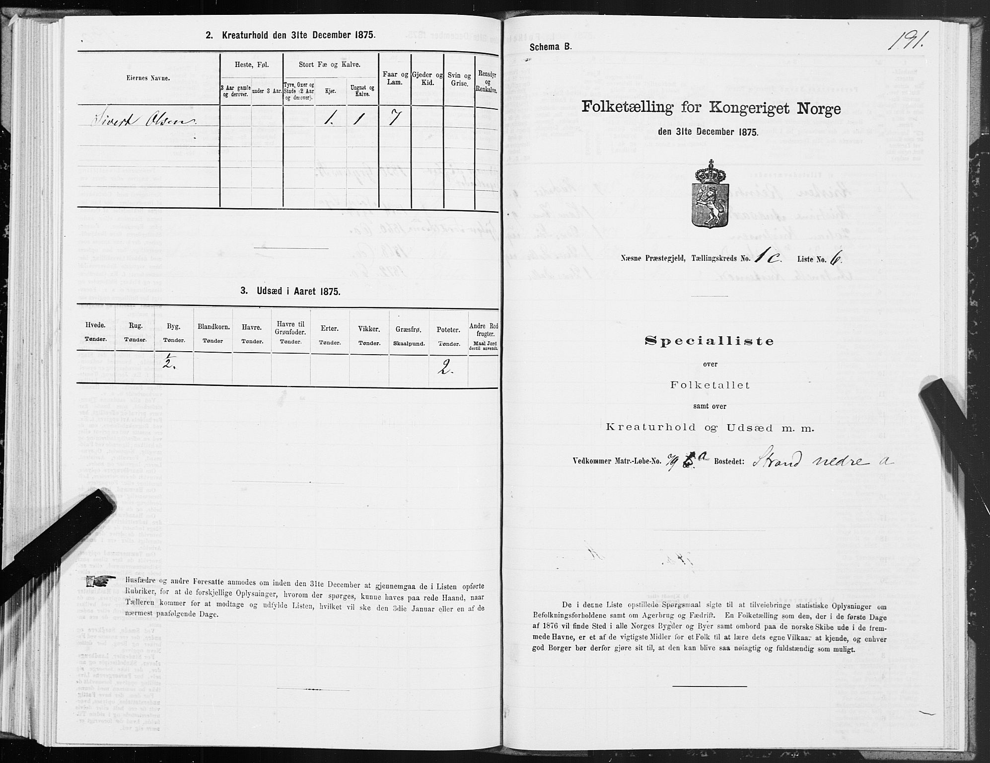 SAT, 1875 census for 1828P Nesna, 1875, p. 1191