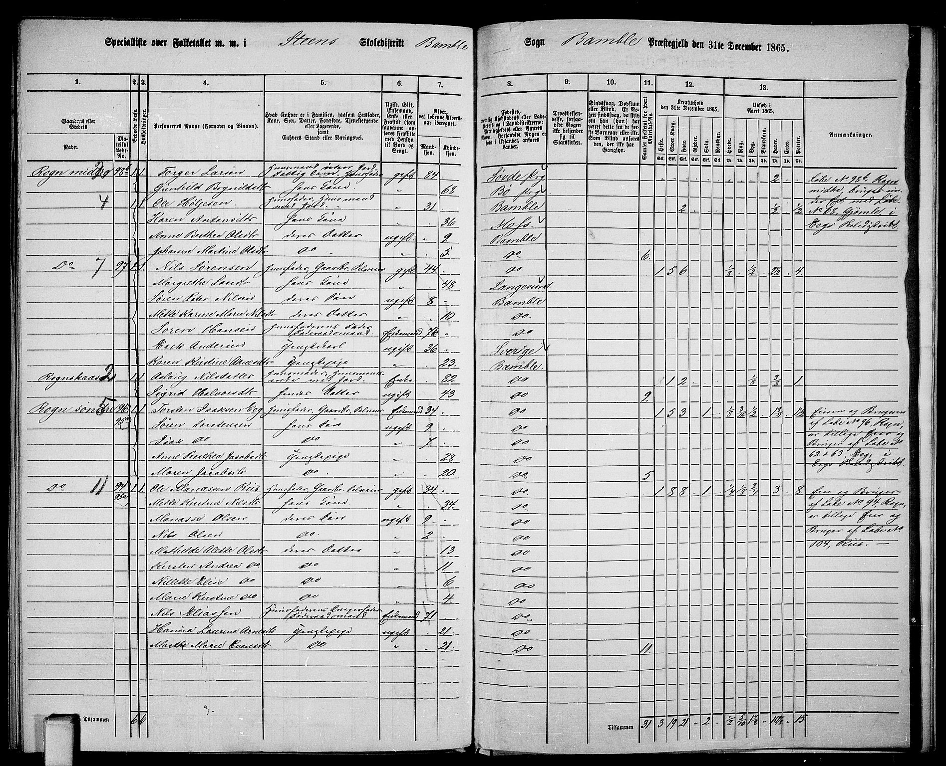 RA, 1865 census for Bamble, 1865, p. 179