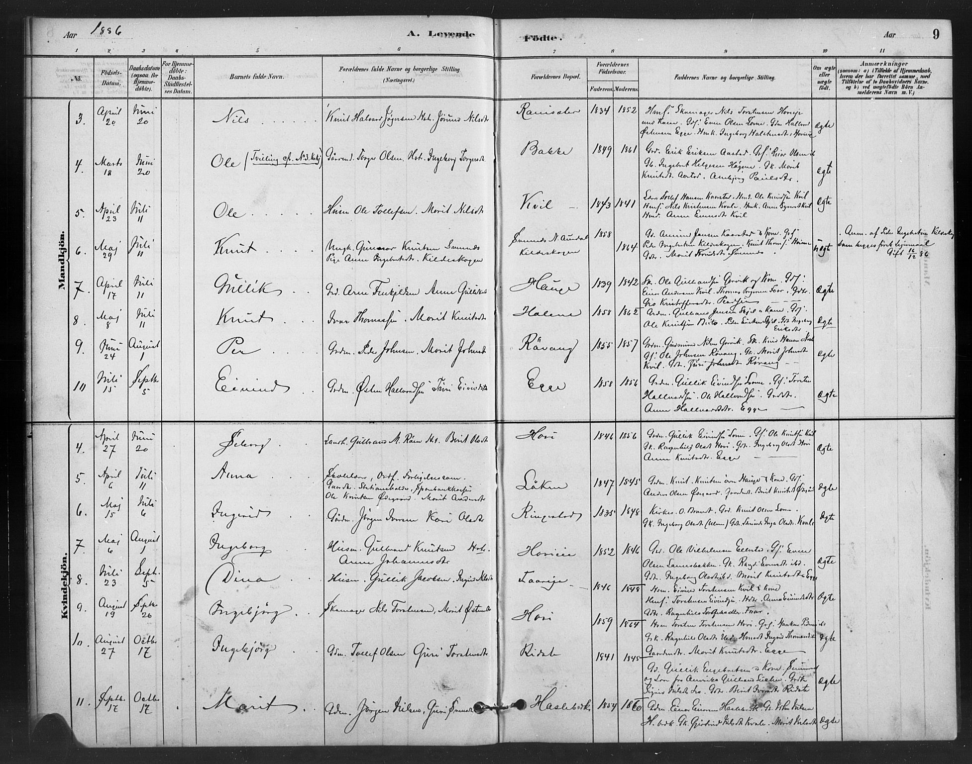 Vestre Slidre prestekontor, SAH/PREST-136/H/Ha/Hab/L0006: Parish register (copy) no. 6, 1881-1915, p. 9