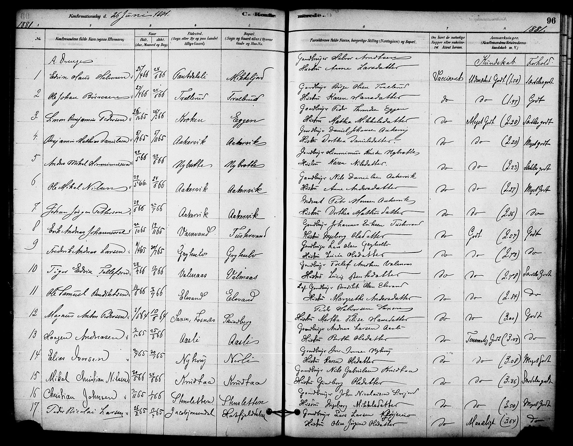 Ministerialprotokoller, klokkerbøker og fødselsregistre - Nordland, AV/SAT-A-1459/823/L0325: Parish register (official) no. 823A02, 1878-1898, p. 96