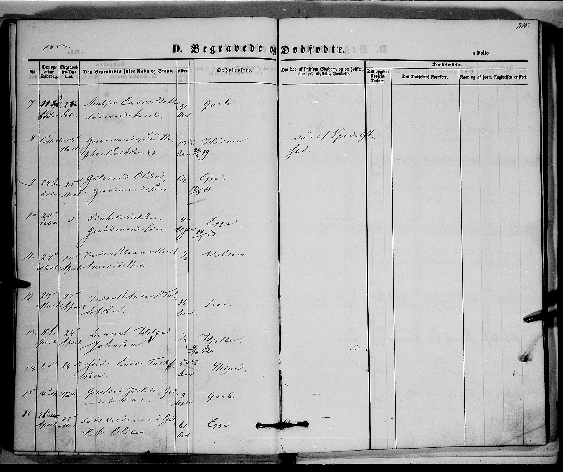 Vestre Slidre prestekontor, SAH/PREST-136/H/Ha/Haa/L0001: Parish register (official) no. 1, 1844-1855, p. 215