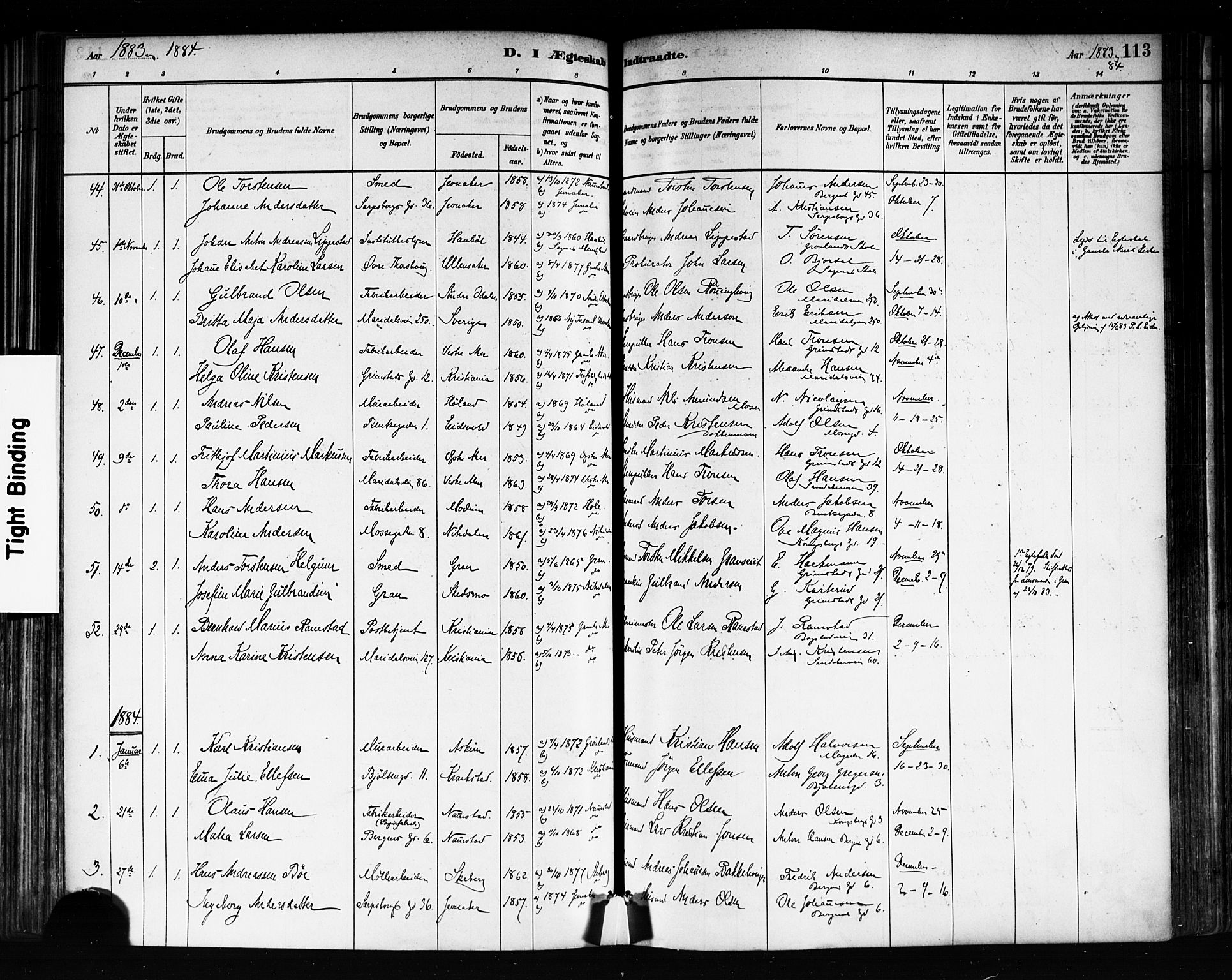 Sagene prestekontor Kirkebøker, SAO/A-10796/F/L0002: Parish register (official) no. 2, 1880-1897, p. 113
