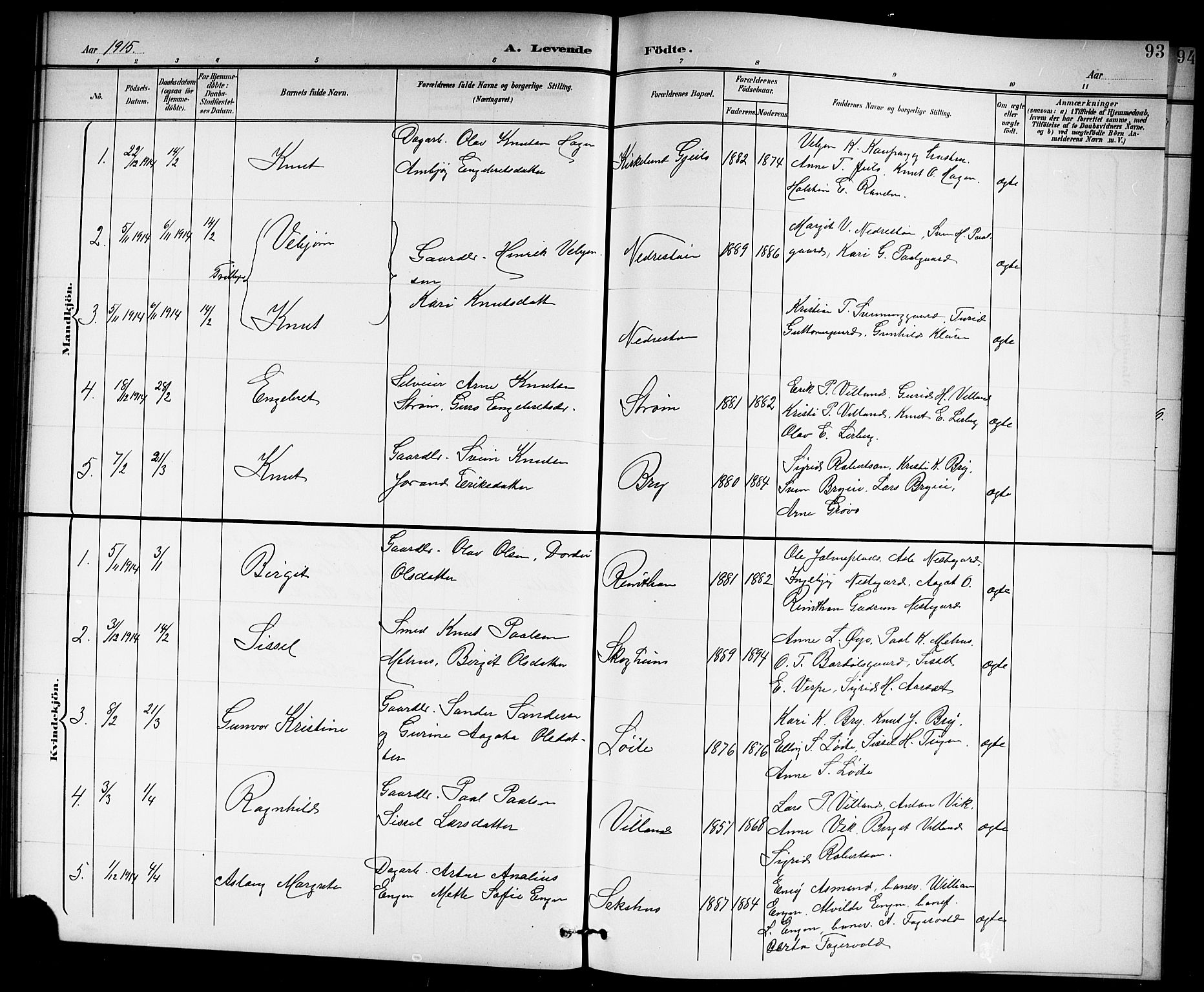 Hol kirkebøker, AV/SAKO-A-227/G/Ga/L0001: Parish register (copy) no. I 1, 1900-1919, p. 93