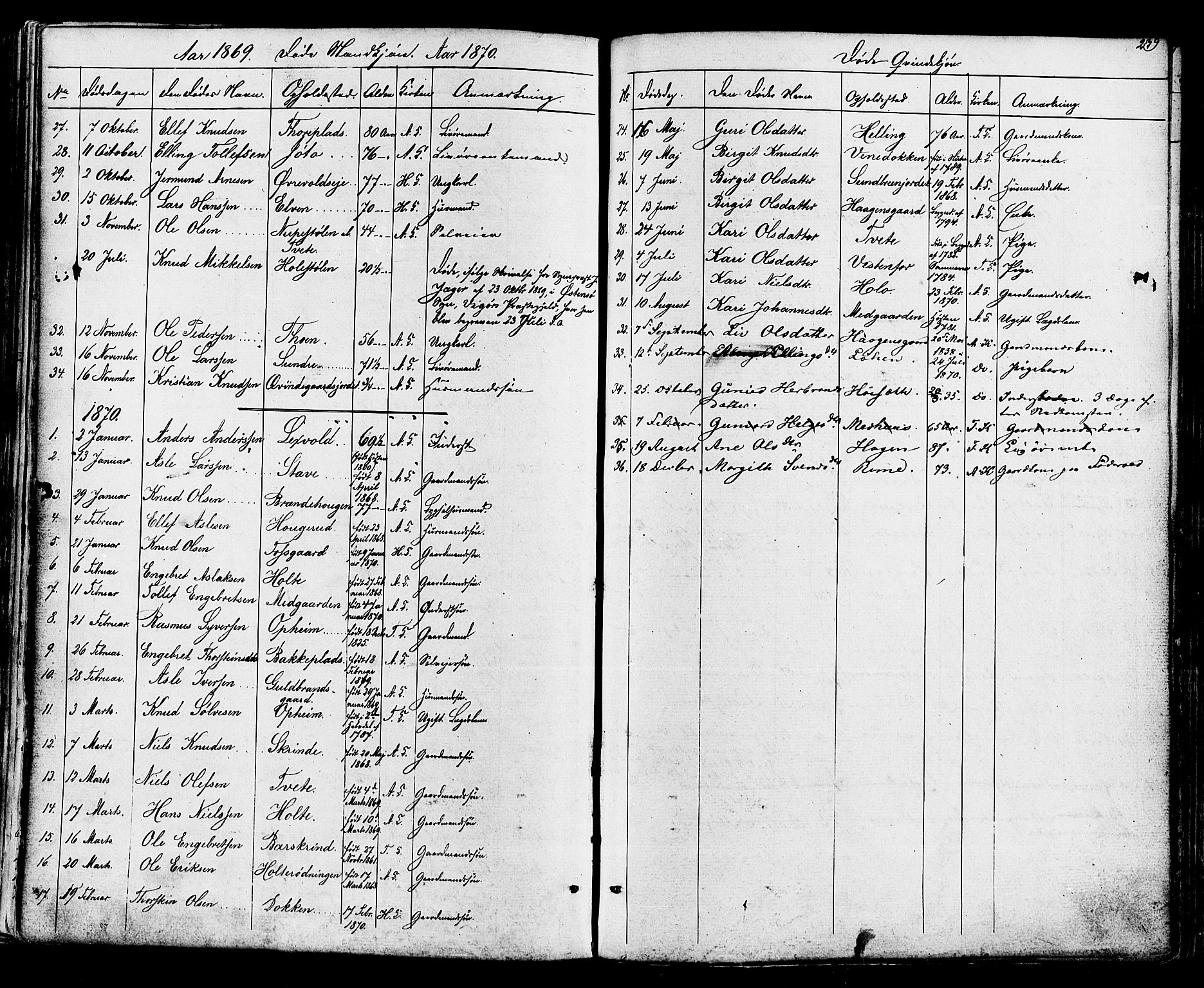 Ål kirkebøker, AV/SAKO-A-249/F/Fa/L0007: Parish register (official) no. I 7, 1865-1881, p. 239