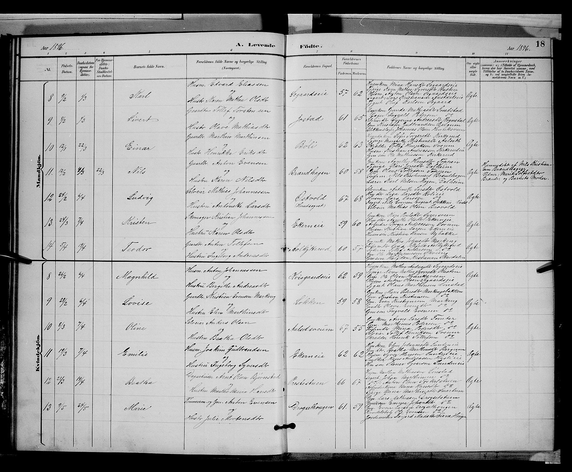 Biri prestekontor, SAH/PREST-096/H/Ha/Hab/L0003: Parish register (copy) no. 3, 1892-1905, p. 18