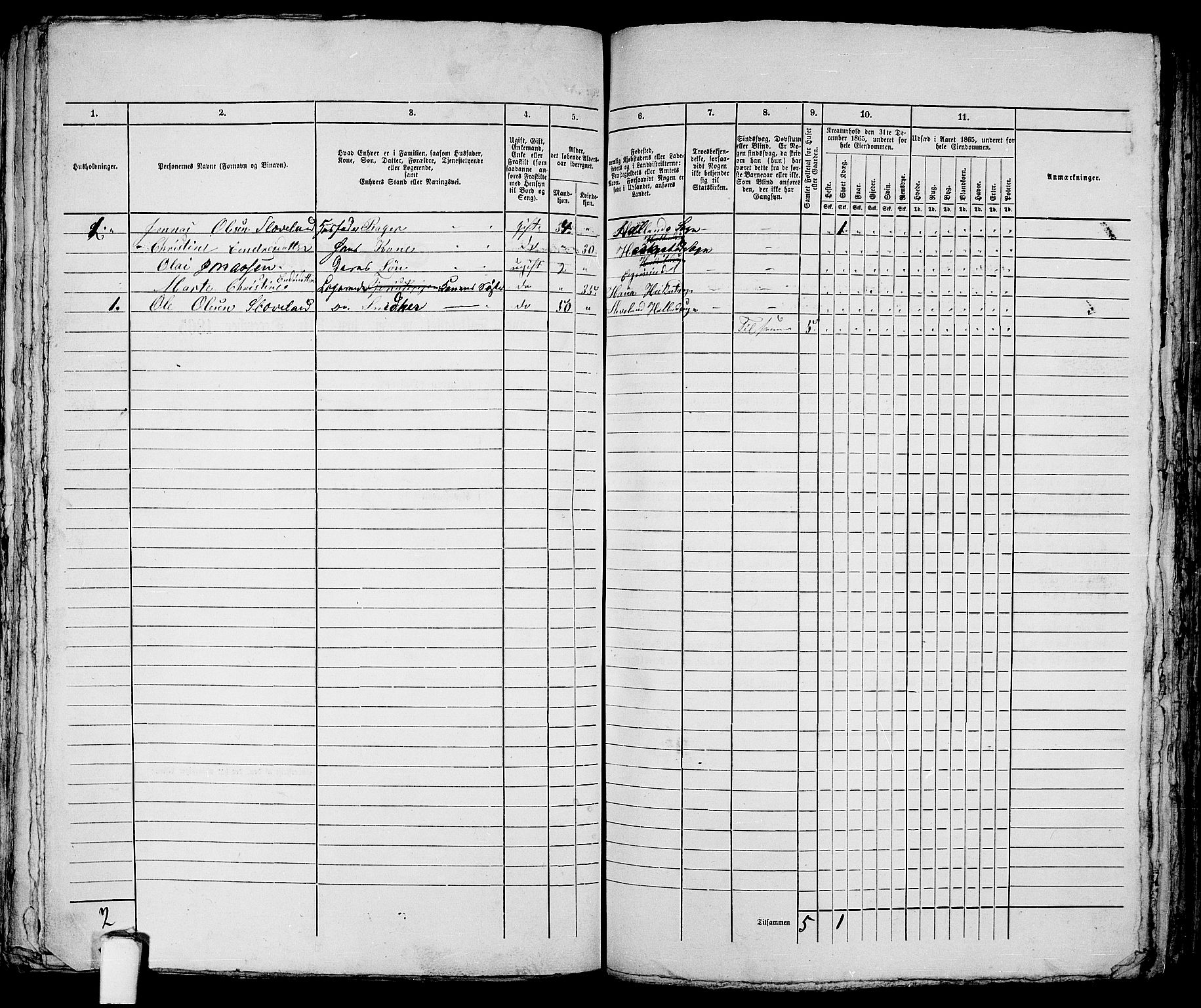 RA, 1865 census for Eigersund parish, Egersund town, 1865, p. 323