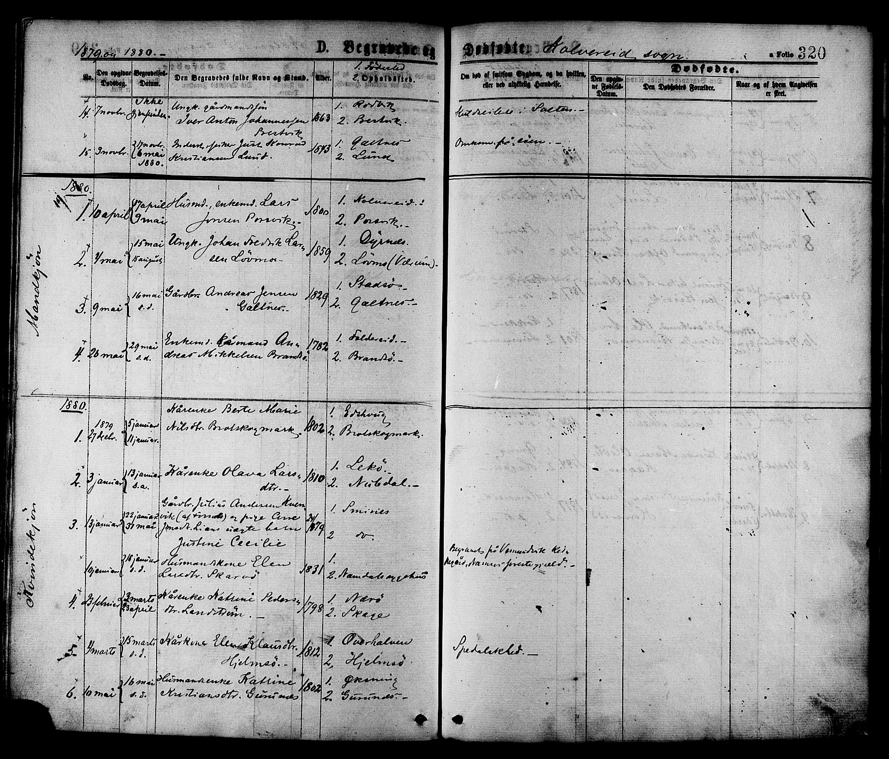 Ministerialprotokoller, klokkerbøker og fødselsregistre - Nord-Trøndelag, SAT/A-1458/780/L0642: Parish register (official) no. 780A07 /1, 1874-1885, p. 320