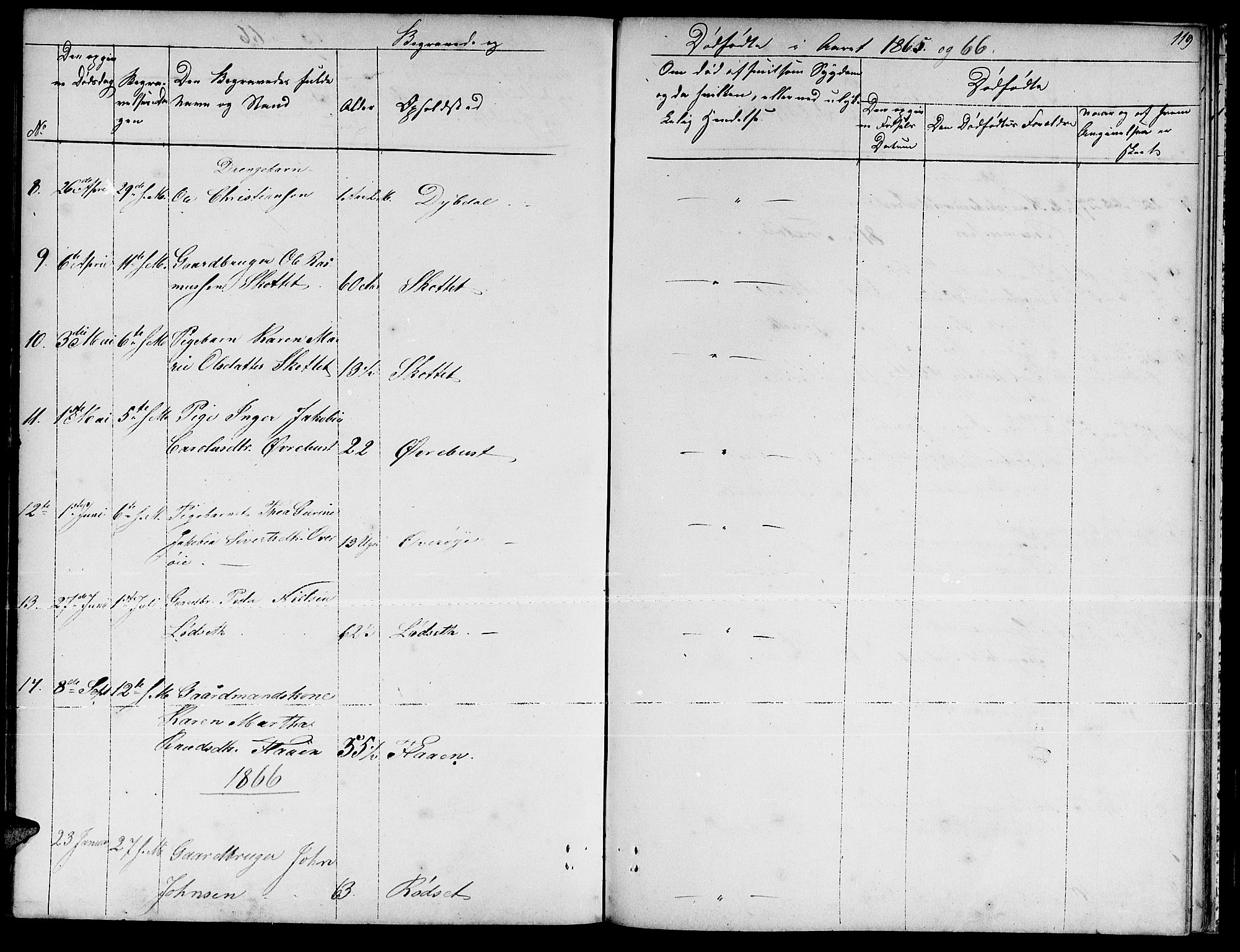 Ministerialprotokoller, klokkerbøker og fødselsregistre - Møre og Romsdal, AV/SAT-A-1454/521/L0300: Parish register (copy) no. 521C01, 1854-1881, p. 119