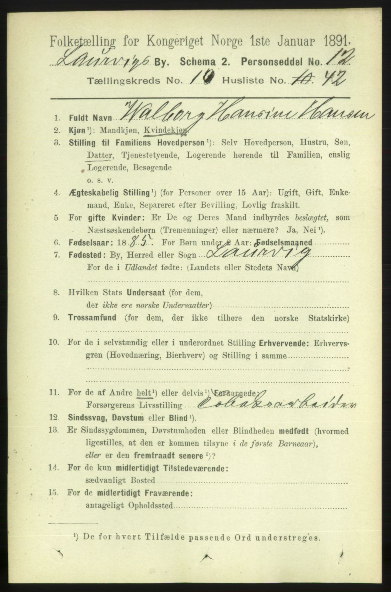 RA, 1891 census for 0707 Larvik, 1891, p. 9456