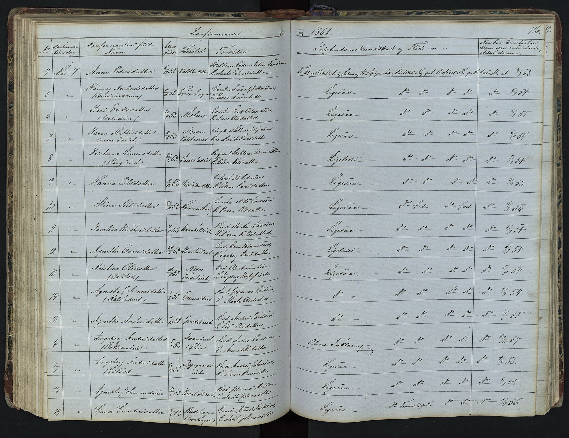 Vestre Gausdal prestekontor, SAH/PREST-094/H/Ha/Hab/L0001: Parish register (copy) no. 1, 1867-1895, p. 116