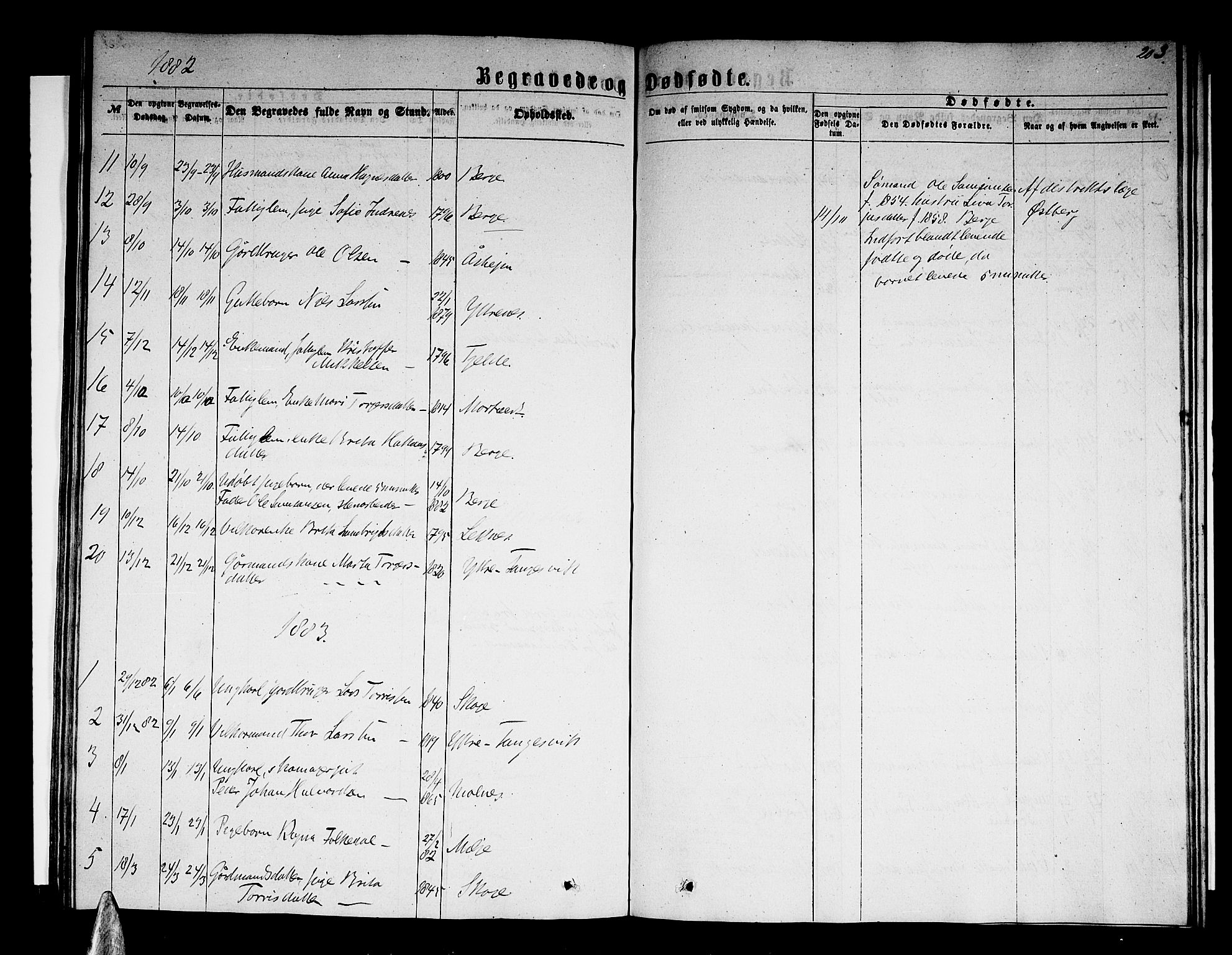 Skånevik sokneprestembete, AV/SAB-A-77801/H/Hab: Parish register (copy) no. A 1, 1860-1887, p. 203