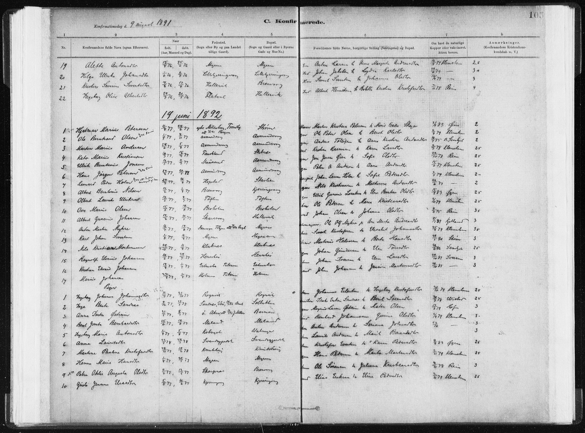 Ministerialprotokoller, klokkerbøker og fødselsregistre - Sør-Trøndelag, SAT/A-1456/634/L0533: Parish register (official) no. 634A09, 1882-1901, p. 105