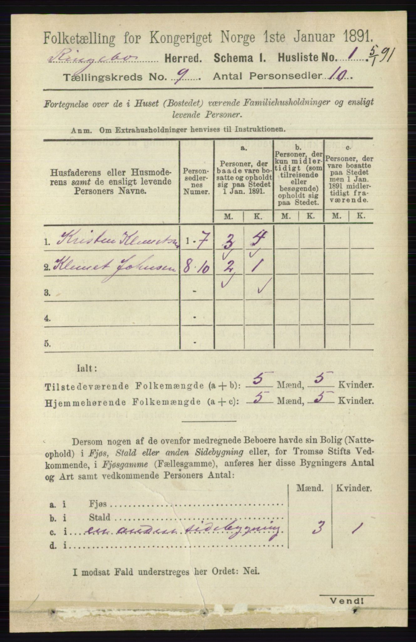 RA, 1891 census for 0520 Ringebu, 1891, p. 4161