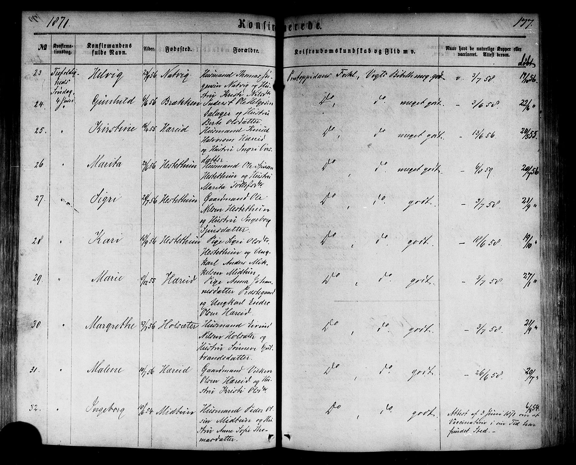 Årdal sokneprestembete, SAB/A-81701: Parish register (official) no. A 3, 1863-1886, p. 177