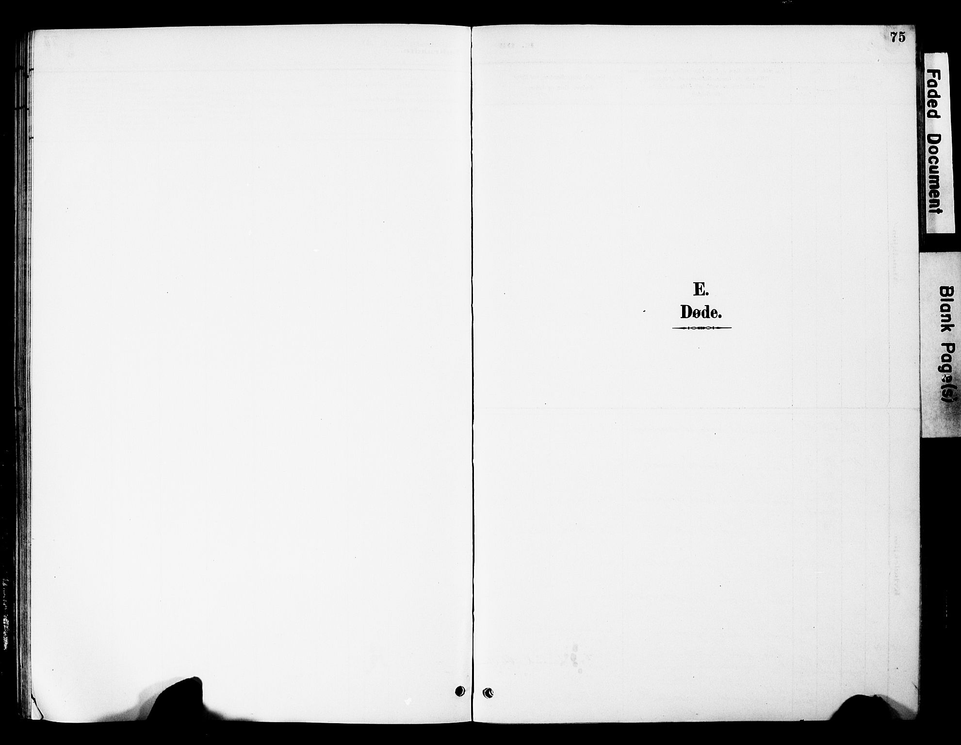 Øystre Slidre prestekontor, AV/SAH-PREST-138/H/Ha/Hab/L0005: Parish register (copy) no. 5, 1887-1910, p. 75