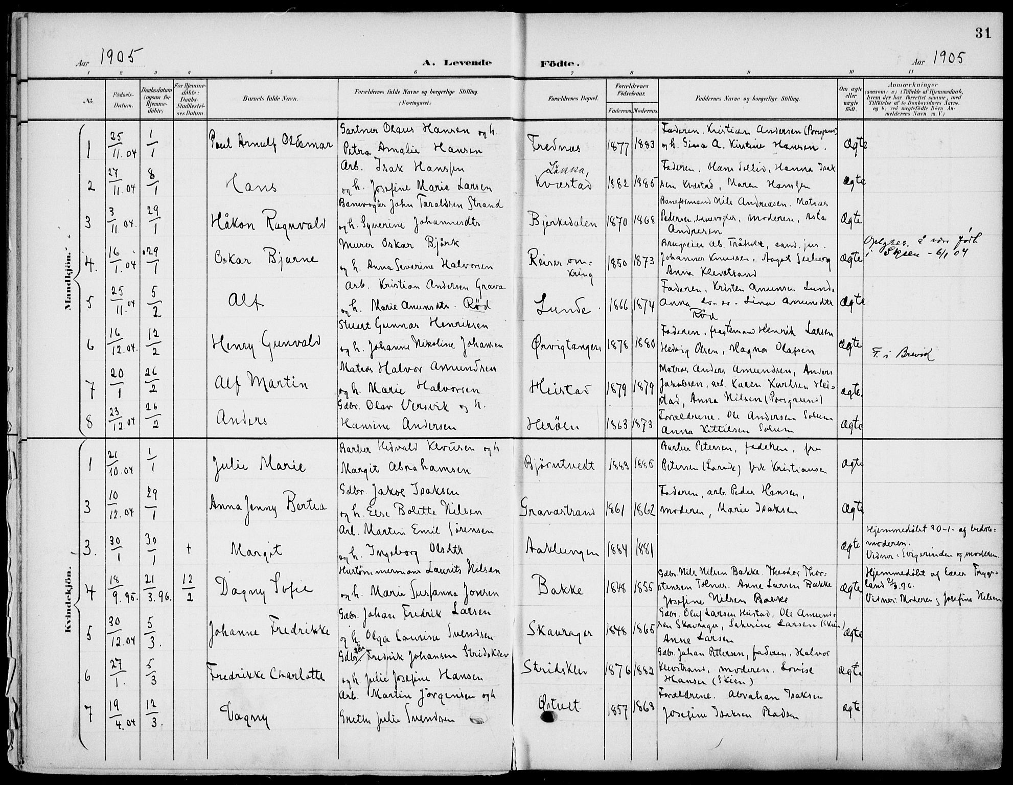 Eidanger kirkebøker, SAKO/A-261/F/Fa/L0013: Parish register (official) no. 13, 1900-1913, p. 31