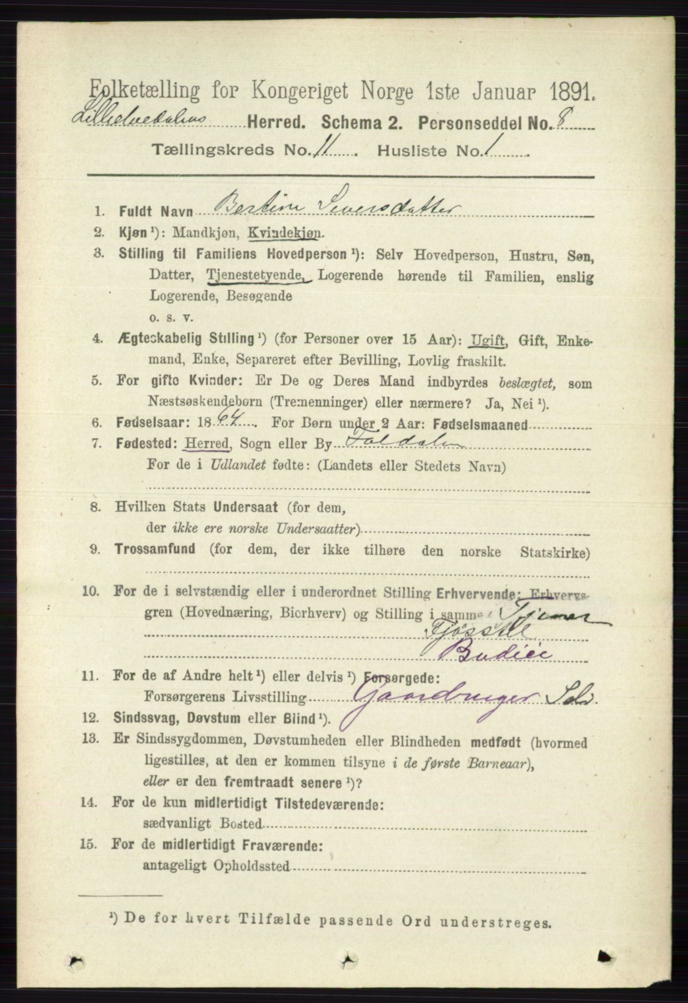 RA, 1891 census for 0438 Lille Elvedalen, 1891, p. 3800