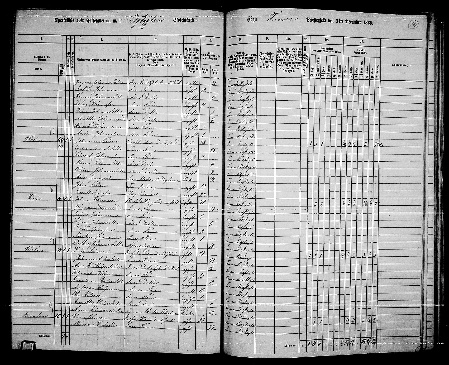 RA, 1865 census for Tune, 1865, p. 223