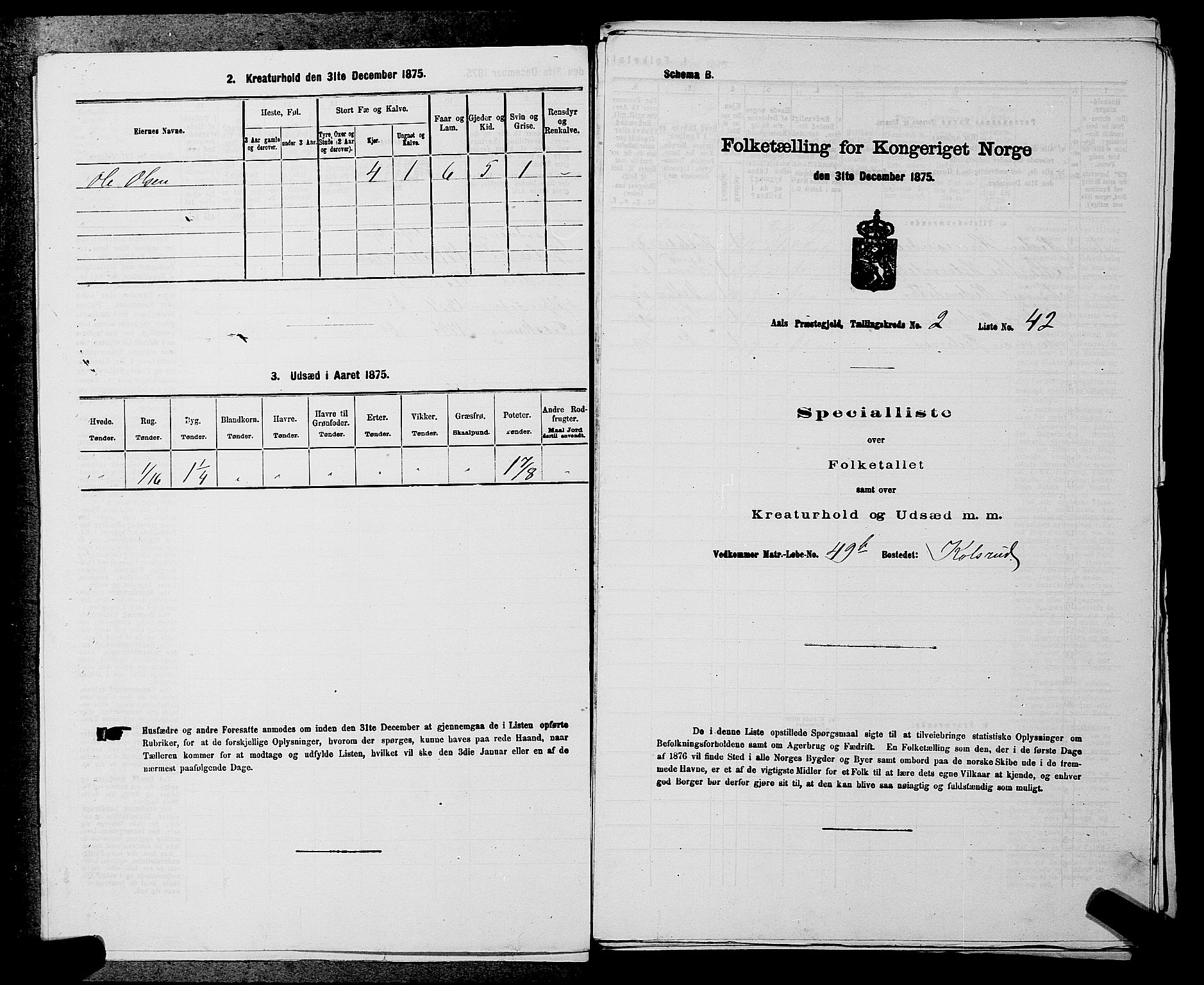 SAKO, 1875 census for 0619P Ål, 1875, p. 212