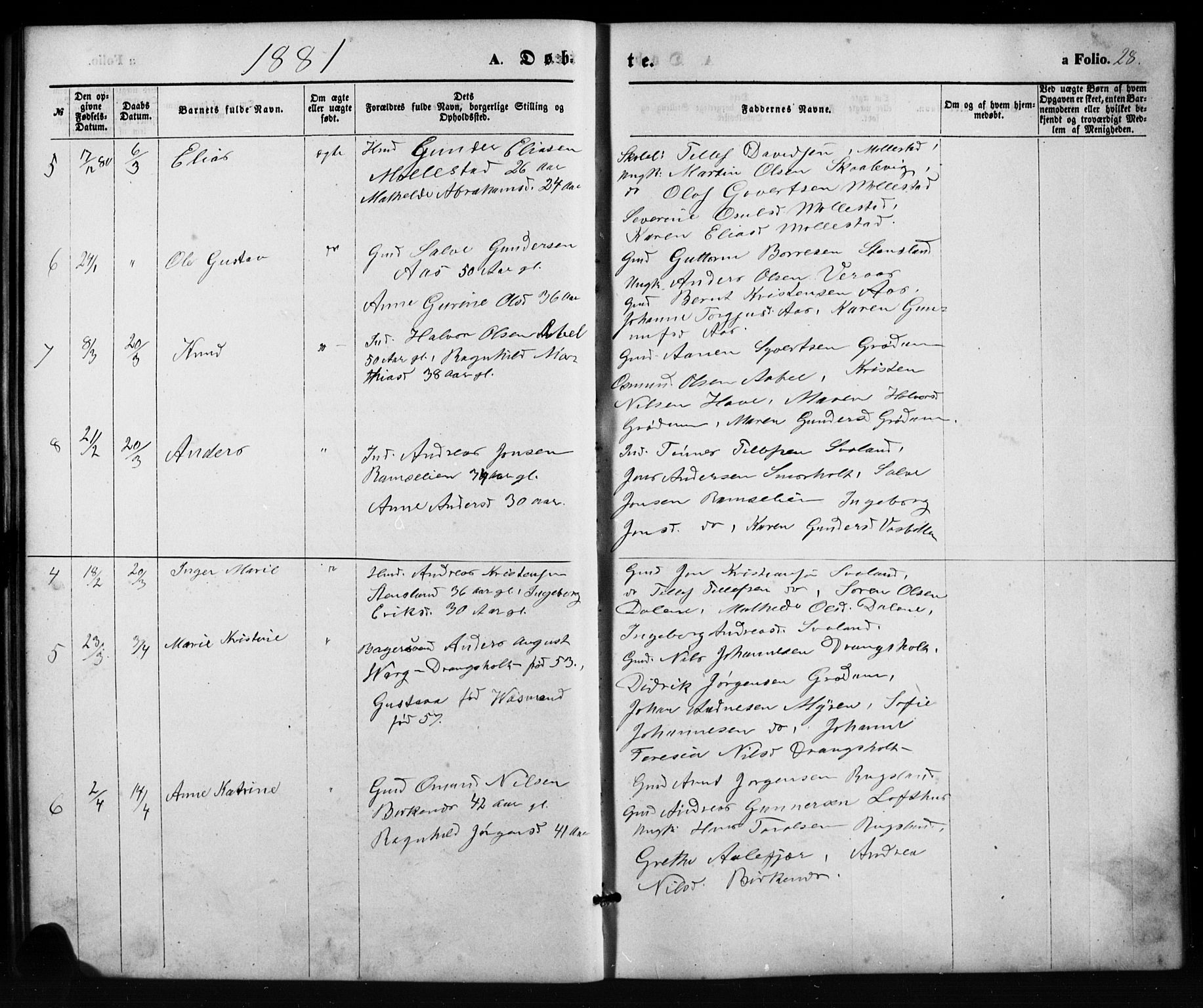 Birkenes sokneprestkontor, SAK/1111-0004/F/Fb/L0003: Parish register (copy) no. B 3, 1876-1892, p. 28
