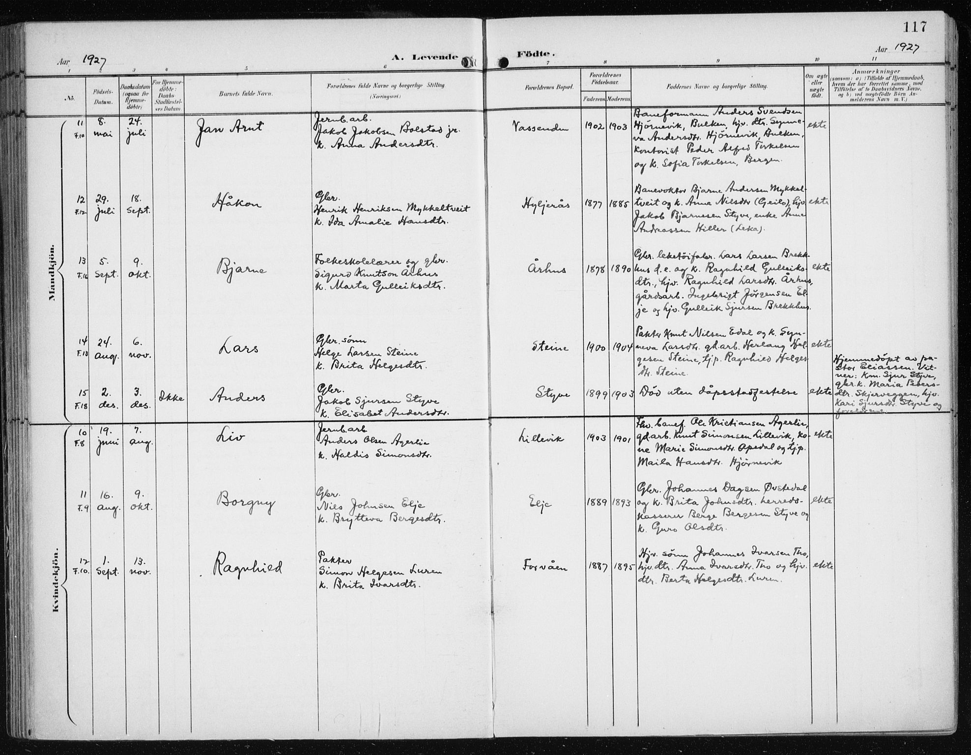 Evanger sokneprestembete, AV/SAB-A-99924: Parish register (official) no. A  3, 1900-1930, p. 117