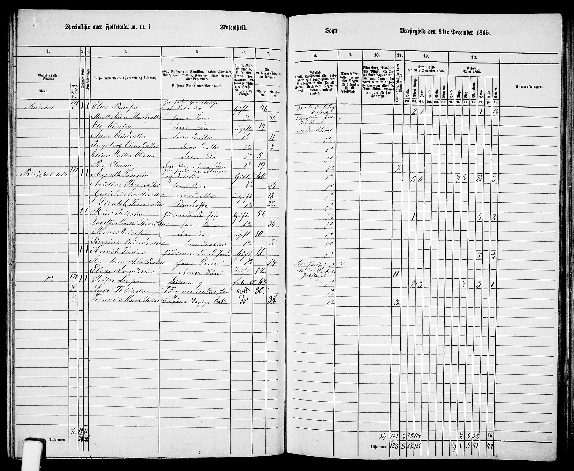 RA, 1865 census for Nord-Audnedal, 1865, p. 54