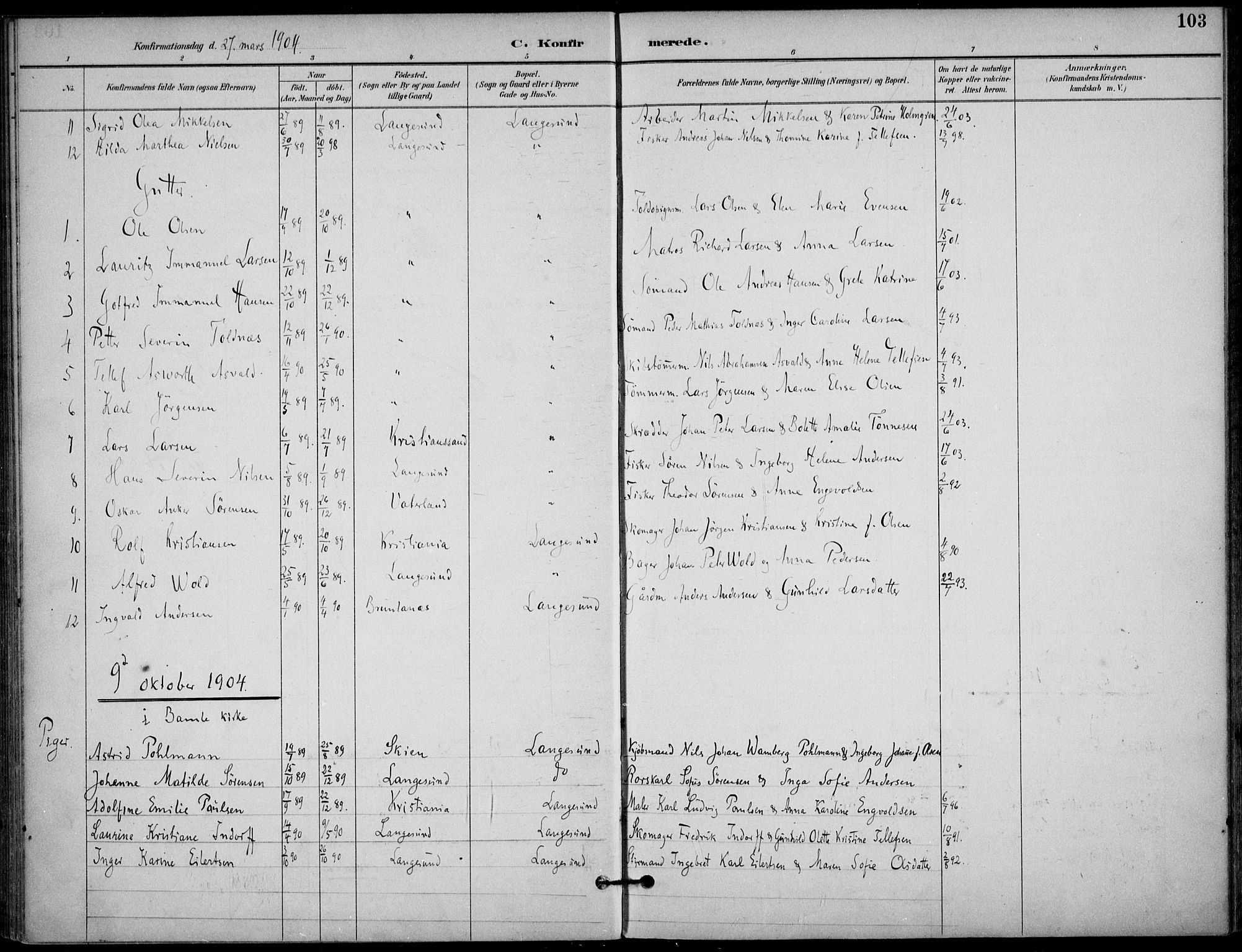 Langesund kirkebøker, SAKO/A-280/F/Fa/L0003: Parish register (official) no. 3, 1893-1907, p. 103