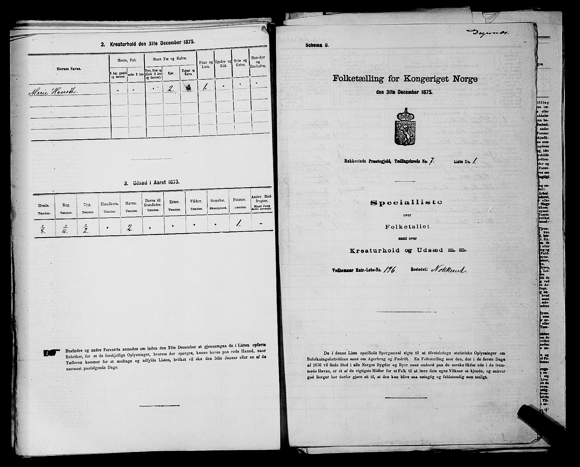 RA, 1875 census for 0128P Rakkestad, 1875, p. 921