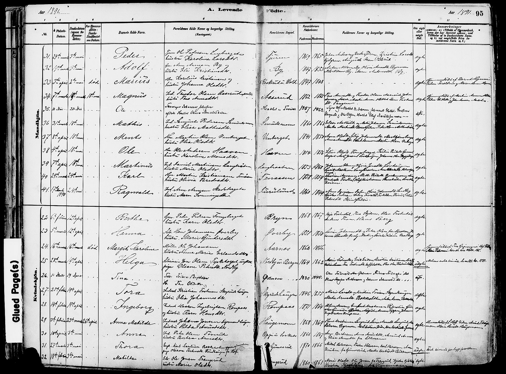 Grue prestekontor, AV/SAH-PREST-036/H/Ha/Haa/L0012: Parish register (official) no. 12, 1881-1897, p. 95