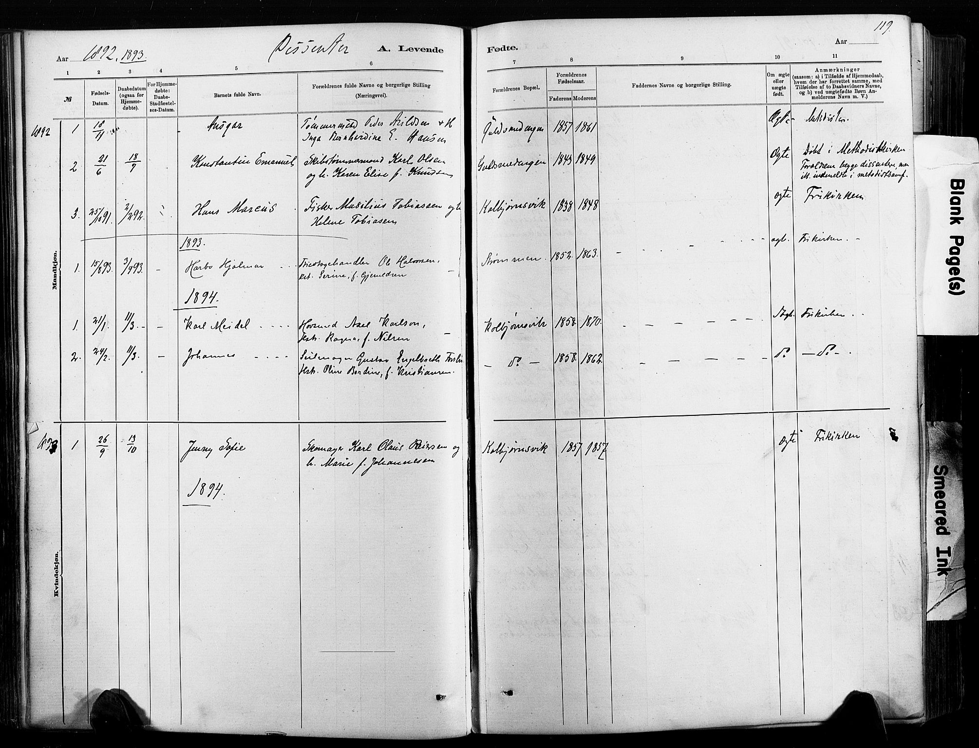 Hisøy sokneprestkontor, SAK/1111-0020/F/Fa/L0003: Parish register (official) no. A 3, 1881-1894, p. 119