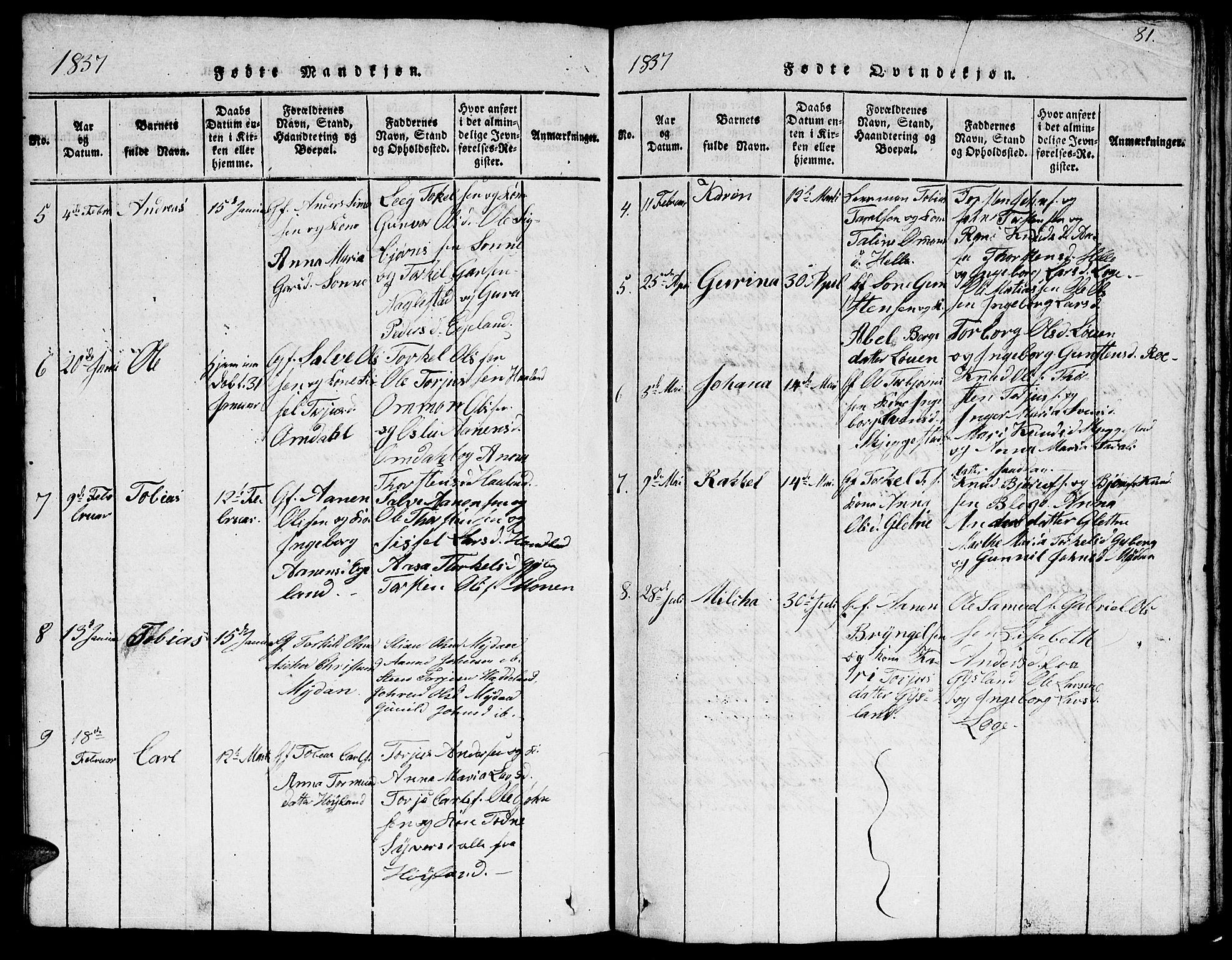 Hægebostad sokneprestkontor, AV/SAK-1111-0024/F/Fb/Fba/L0001: Parish register (copy) no. B 1, 1815-1844, p. 81