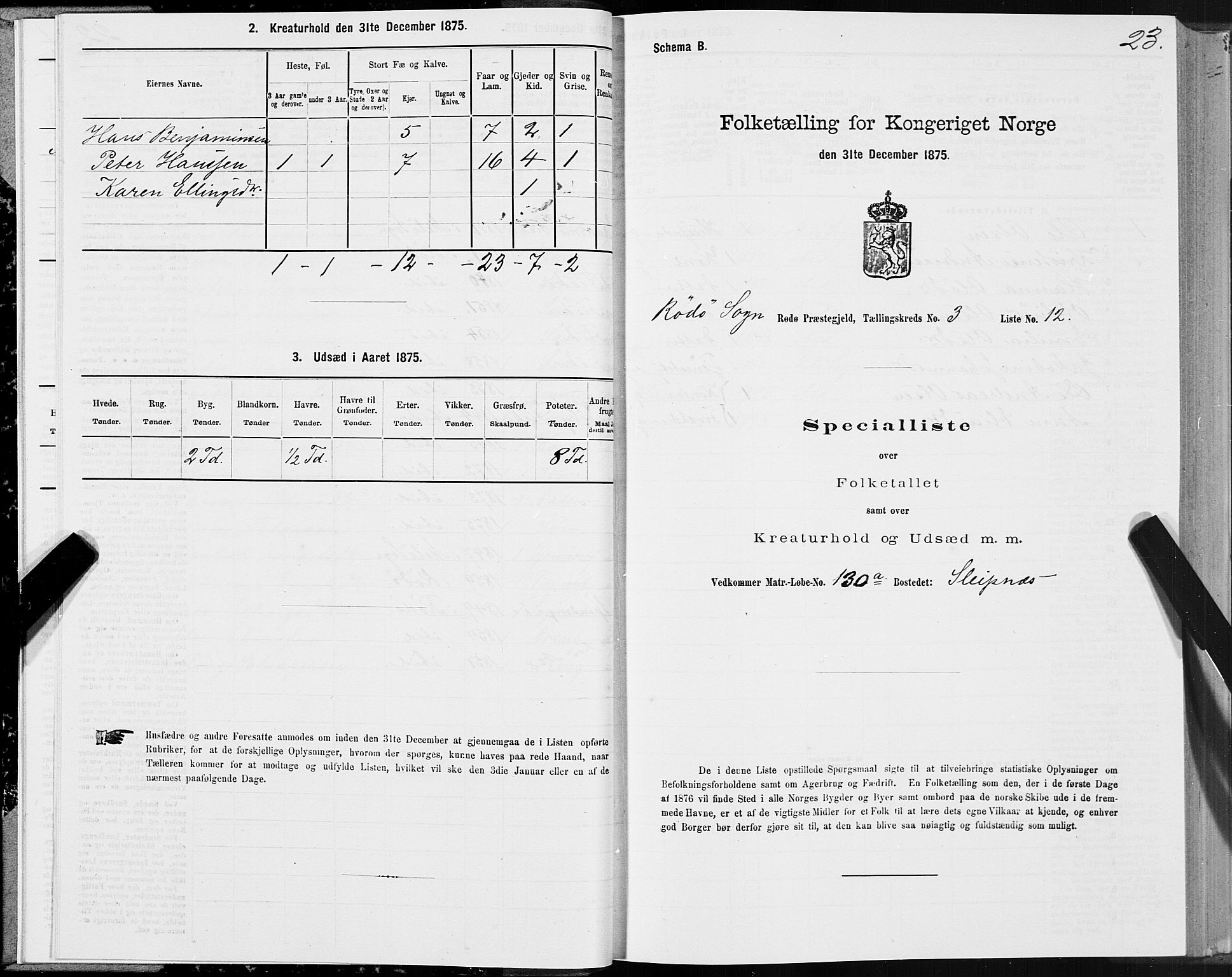 SAT, 1875 census for 1836P Rødøy, 1875, p. 2023