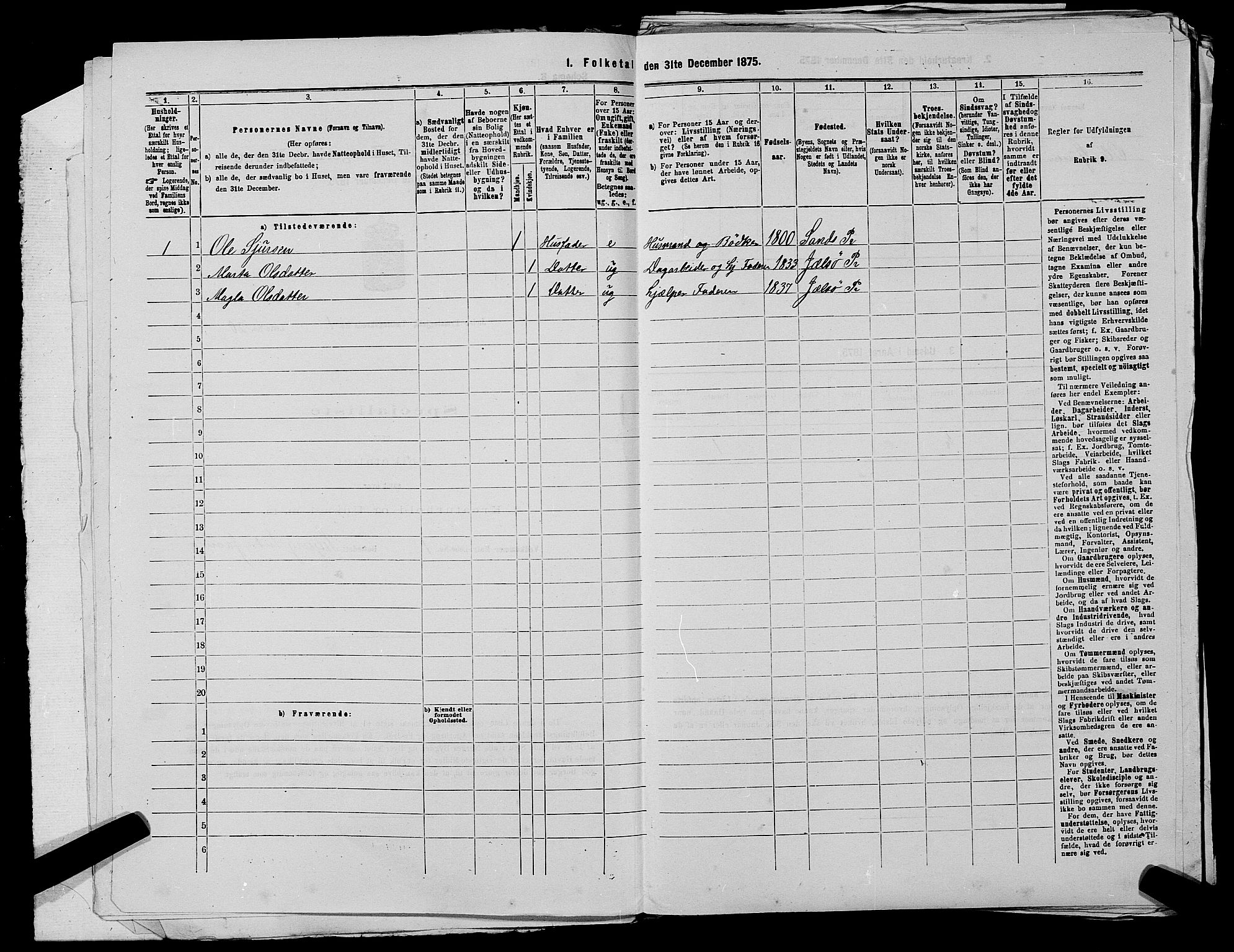 SAST, 1875 census for 1138P Jelsa, 1875, p. 44