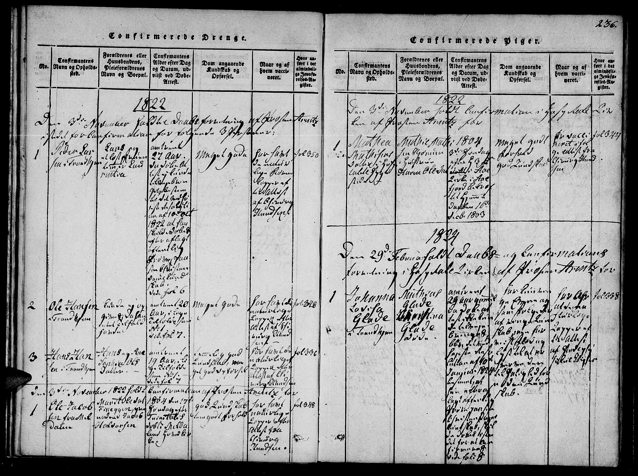 Ministerialprotokoller, klokkerbøker og fødselsregistre - Sør-Trøndelag, SAT/A-1456/623/L0467: Parish register (official) no. 623A01, 1815-1825, p. 236