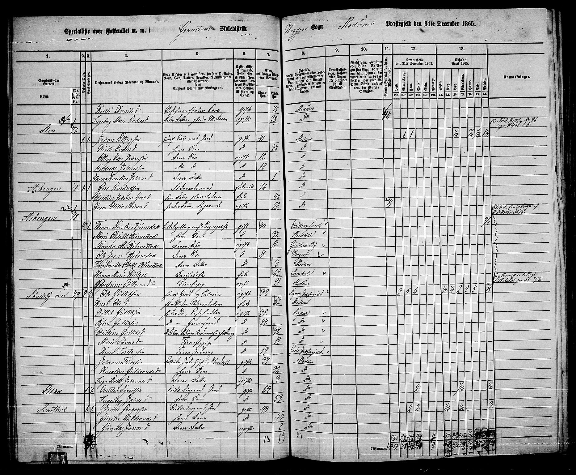 RA, 1865 census for Modum, 1865, p. 63