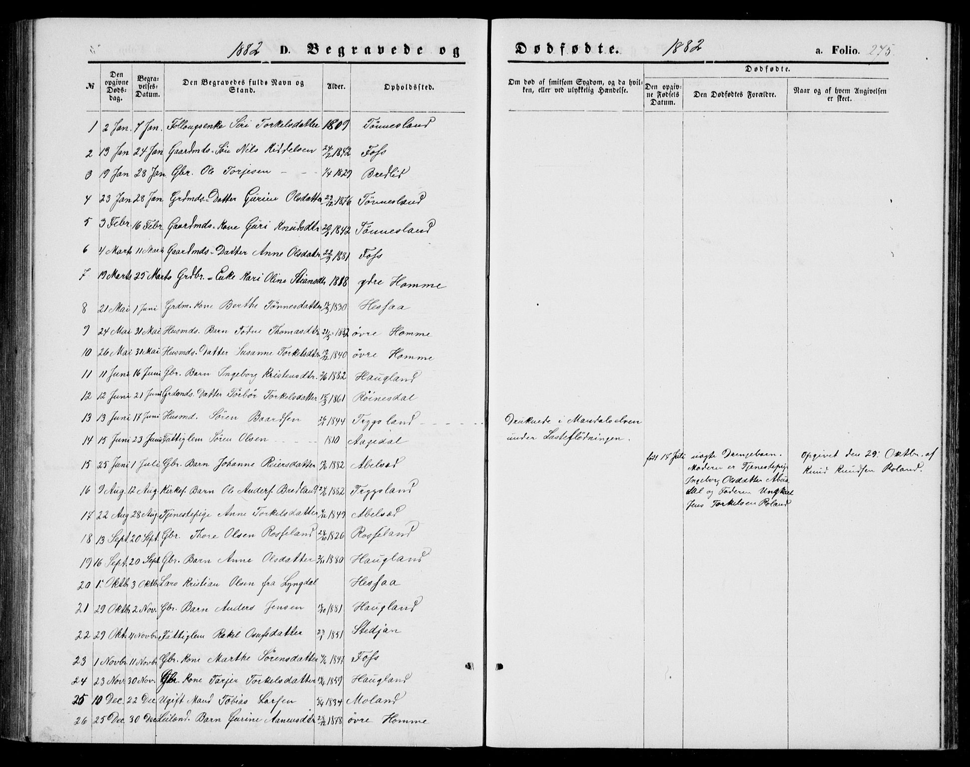 Bjelland sokneprestkontor, AV/SAK-1111-0005/F/Fb/Fba/L0004: Parish register (copy) no. B 4, 1869-1886, p. 275