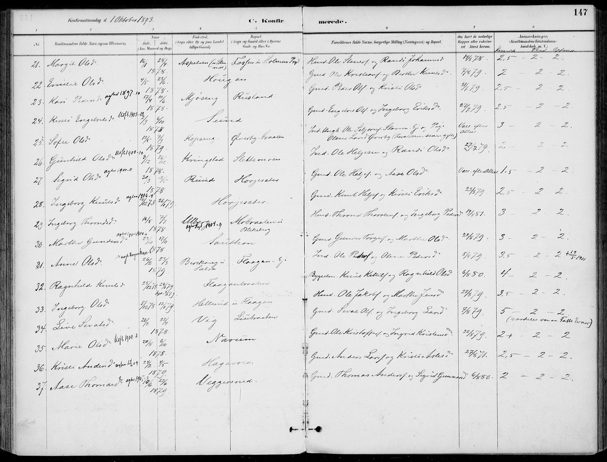 Sigdal kirkebøker, AV/SAKO-A-245/F/Fb/L0001: Parish register (official) no. II 1, 1888-1900, p. 147