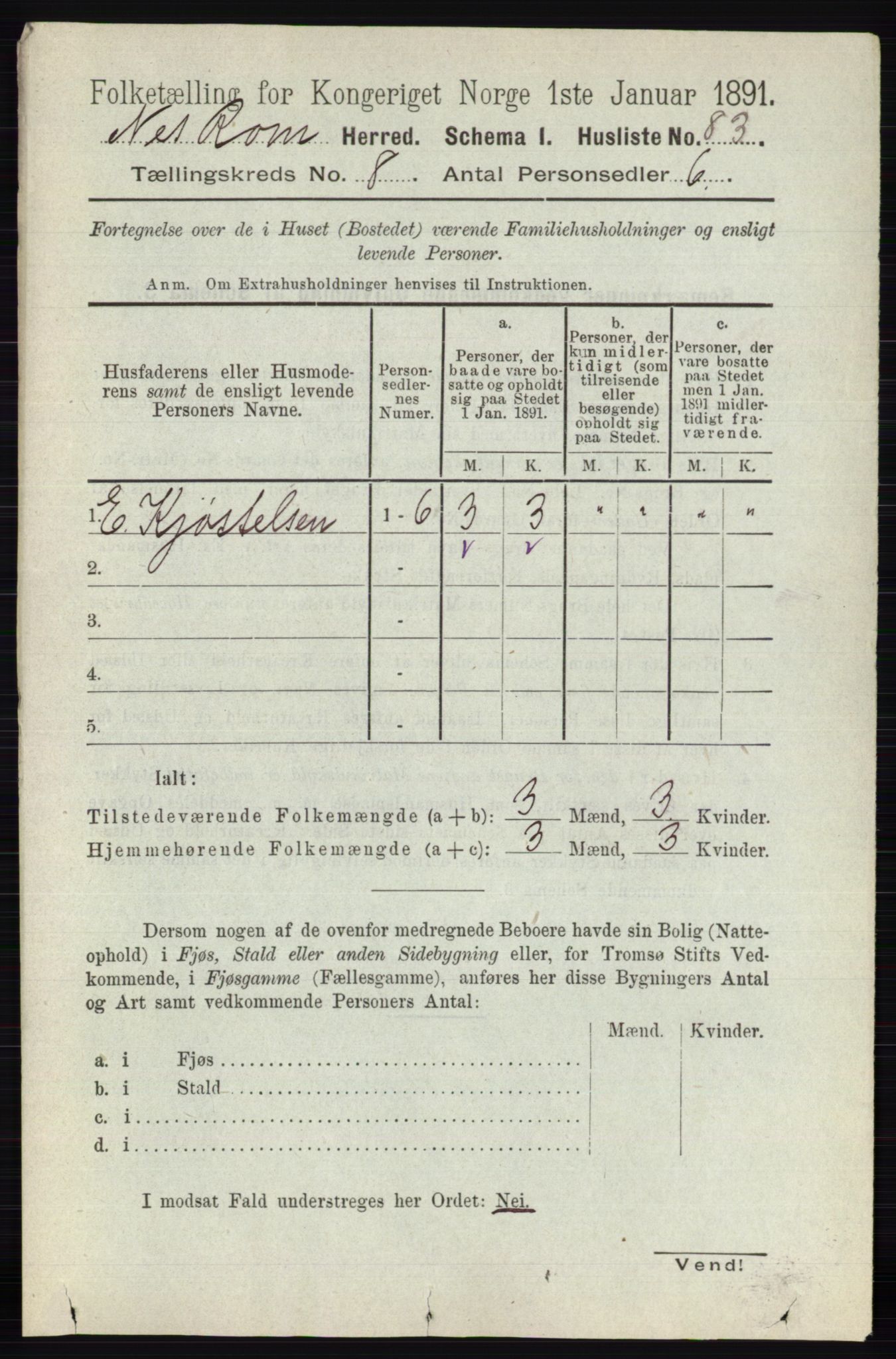 RA, 1891 census for 0236 Nes, 1891, p. 4563