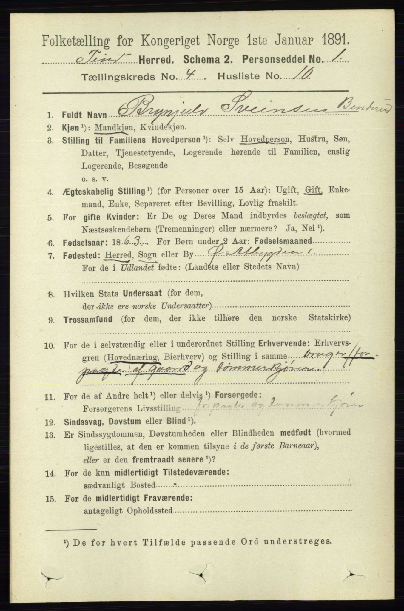 RA, 1891 census for 0826 Tinn, 1891, p. 780
