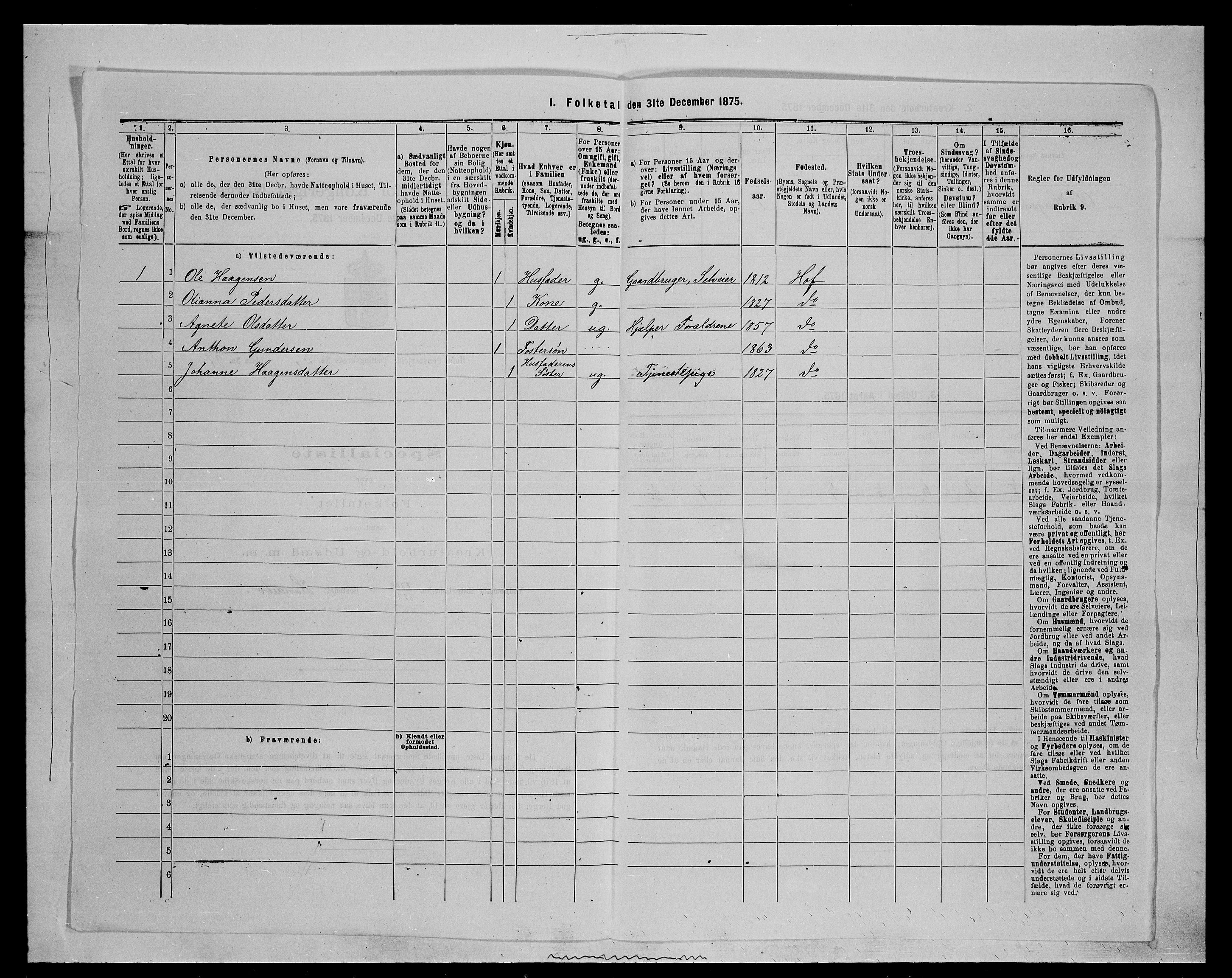 SAH, 1875 census for 0424P Hof, 1875, p. 676