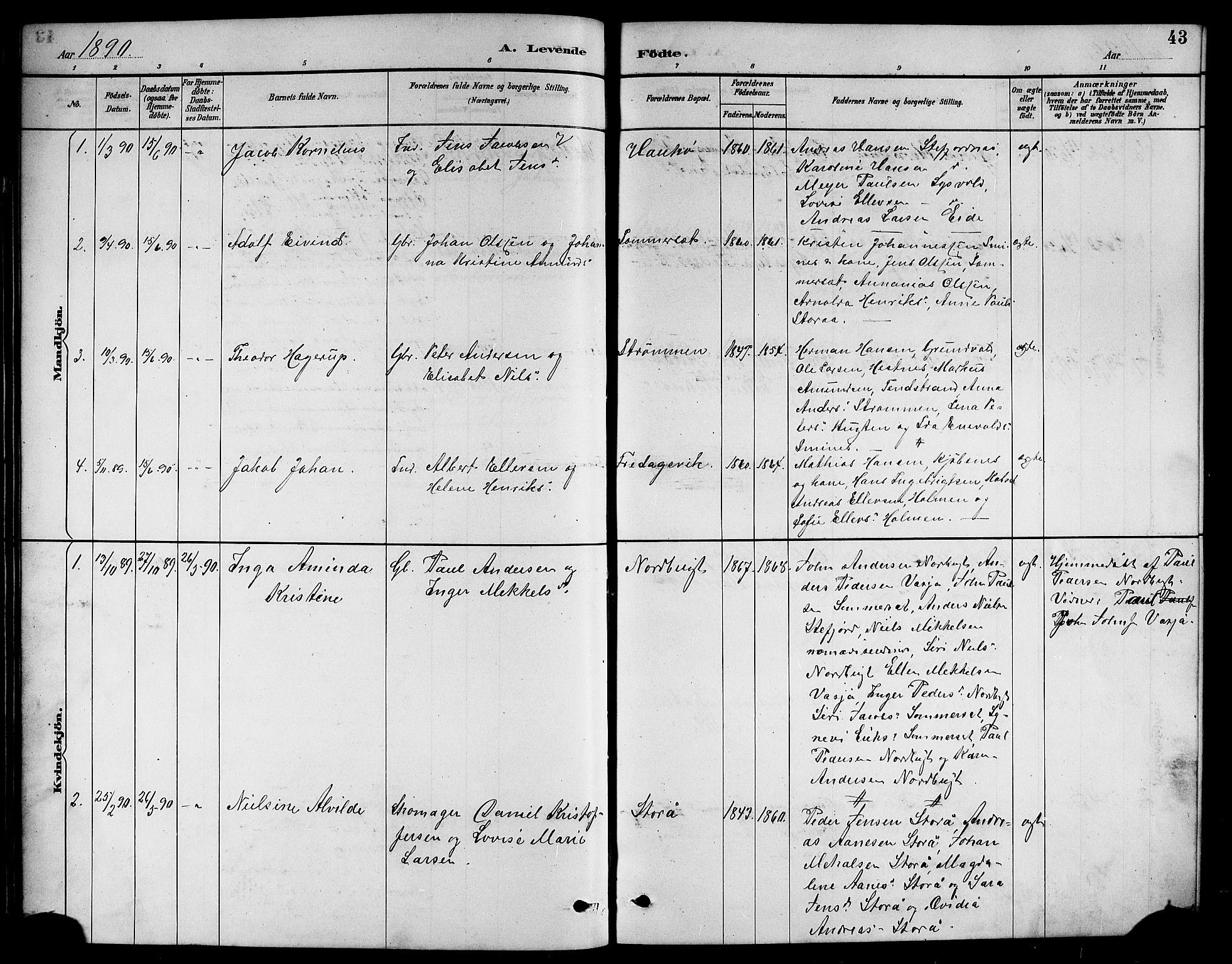 Ministerialprotokoller, klokkerbøker og fødselsregistre - Nordland, AV/SAT-A-1459/861/L0876: Parish register (copy) no. 861C02, 1887-1903, p. 43