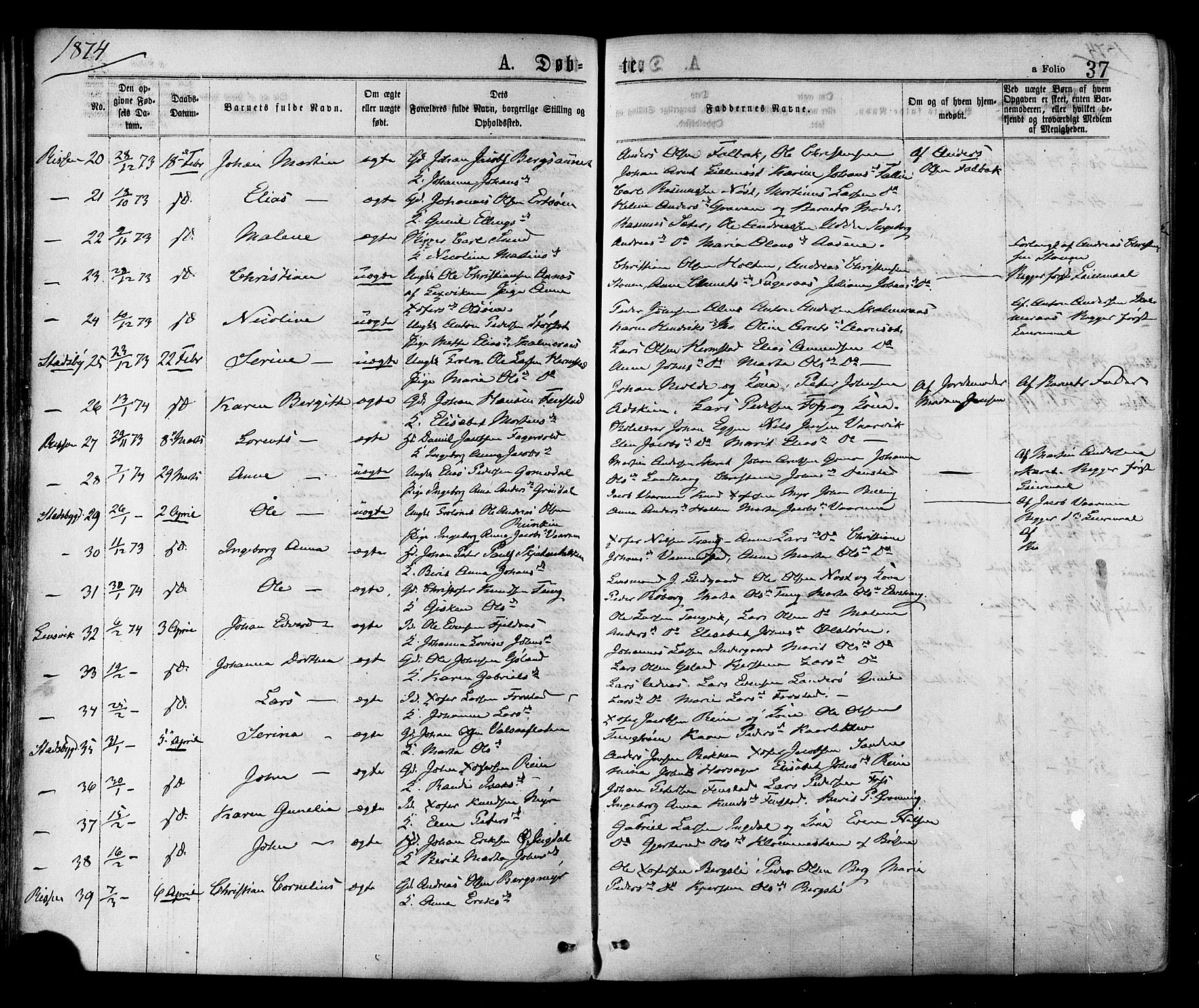 Ministerialprotokoller, klokkerbøker og fødselsregistre - Sør-Trøndelag, AV/SAT-A-1456/646/L0613: Parish register (official) no. 646A11, 1870-1884, p. 37