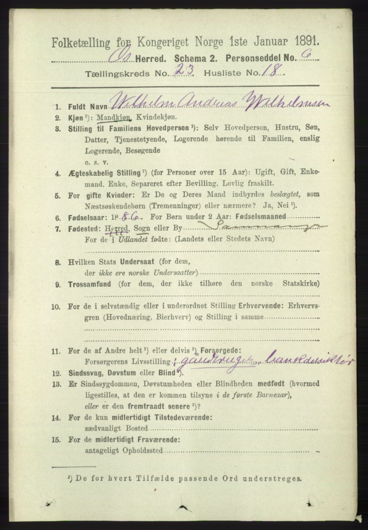 RA, 1891 census for 1243 Os, 1891, p. 5180