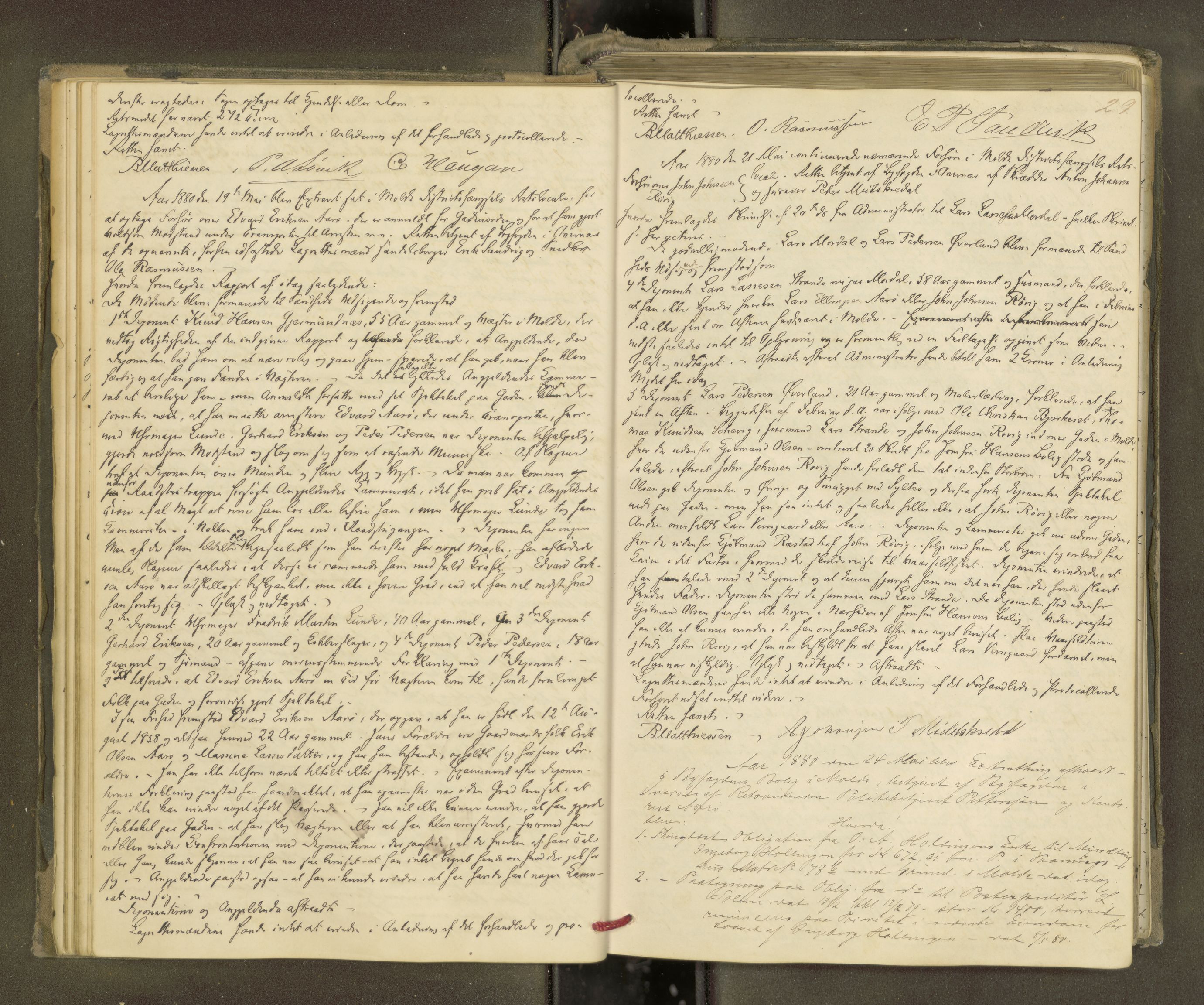 Molde byfogd, AV/SAT-A-0025/1/1A/L0012: Justisprotokoll, 1879-1890, p. 28b-29a